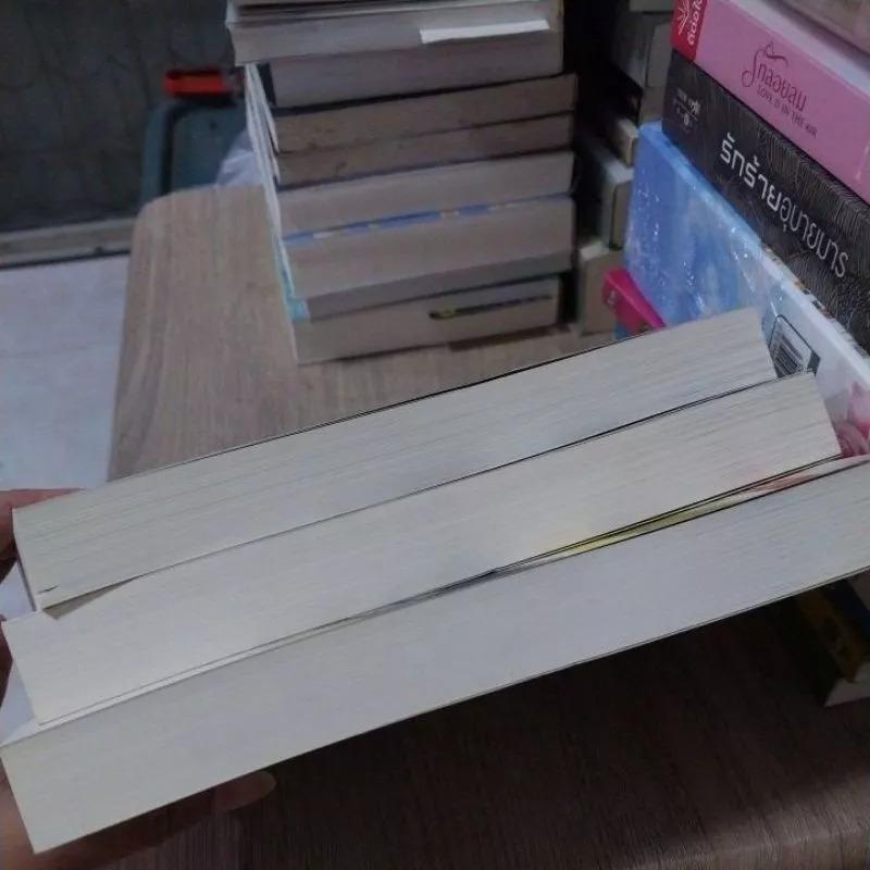 นิยายชุดพรหมลิขิตรัก ภาค วาสนาพานพบ 1-3 จบ