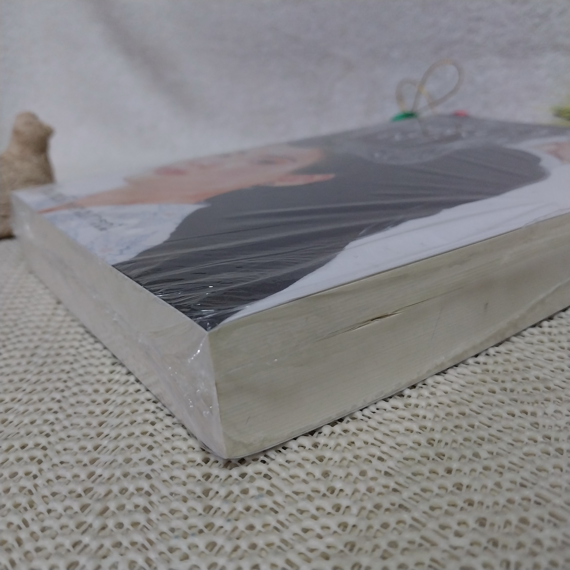 หลังเงา / กนกวลี พจนปกรณ์ (**มีตำหนิตามรูป)