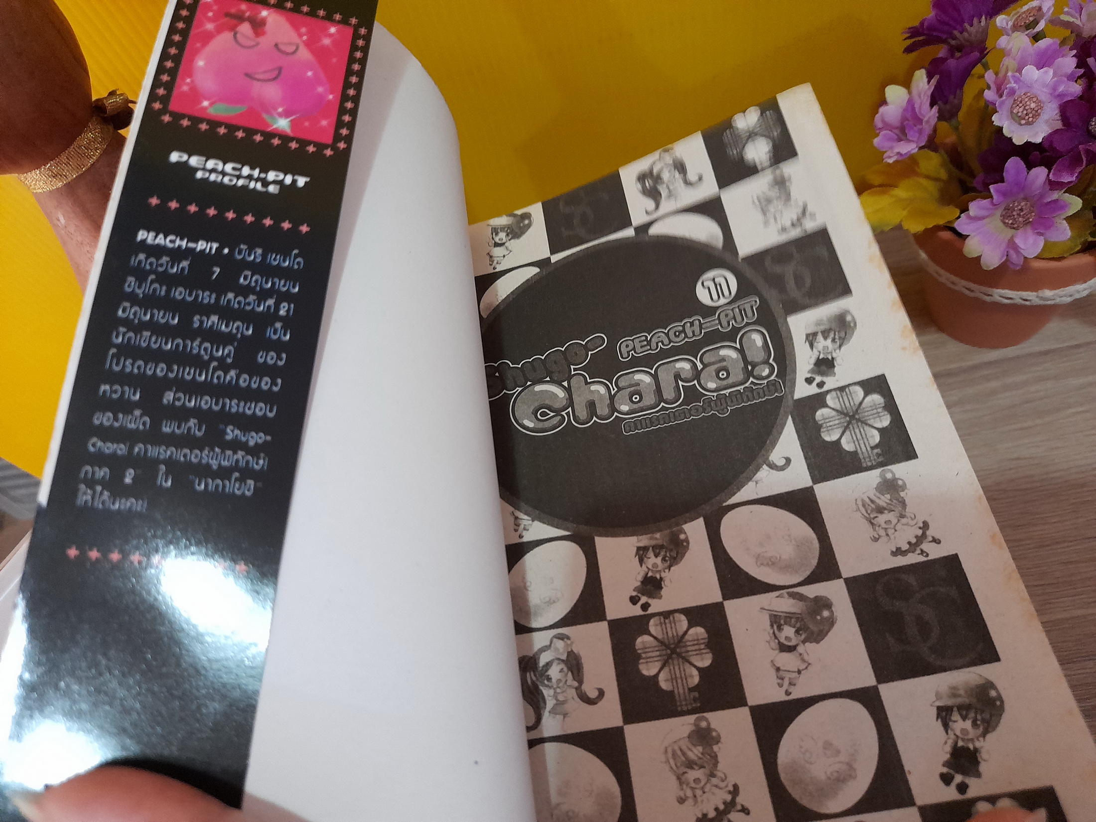 Shugo-Chara! คาแรคเตอร์ผู้พิทักษ์ 1-11 ไม่จบ / * ขาดเล่ม 12