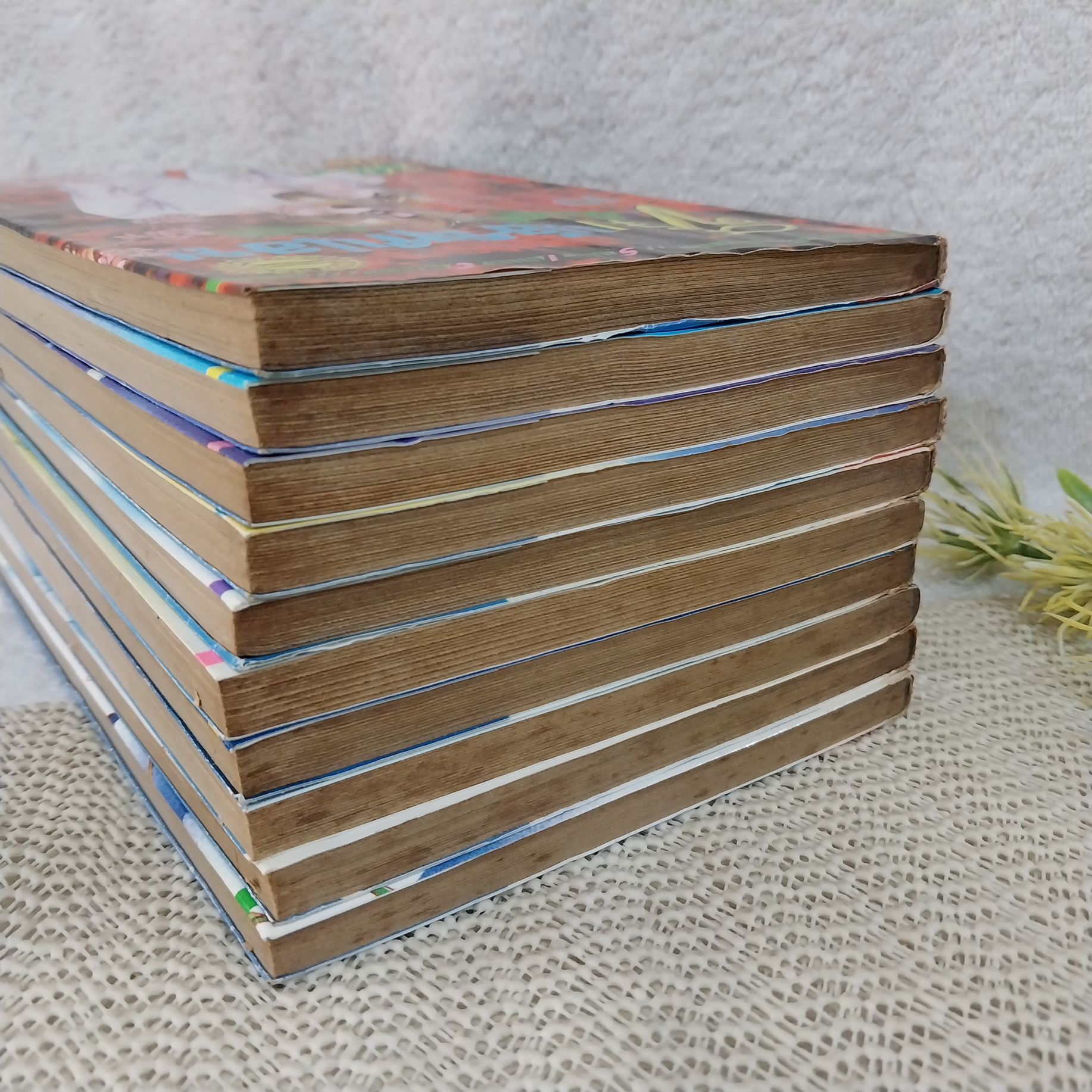 ซึมน้อยหน่อย รักมากหน่อย 1-10 จบ