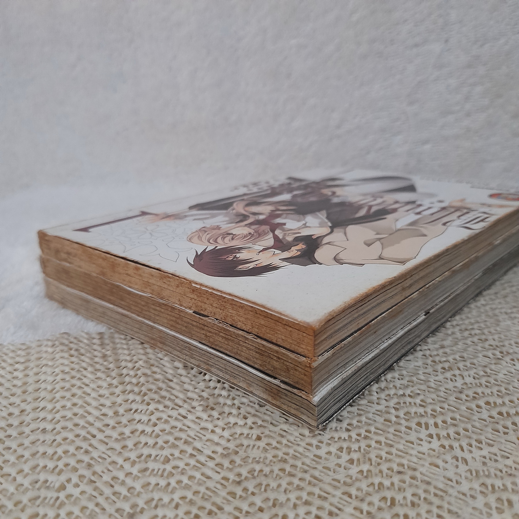 Bloody Cross กางเขนโลหิต 1-3 (ออกมาเท่านี้)