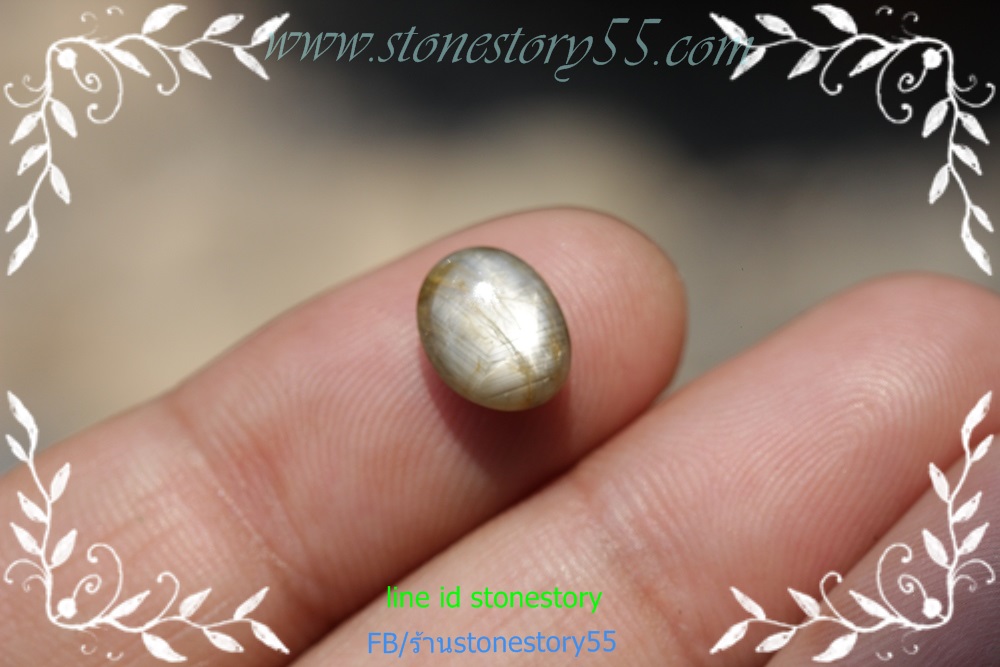 พลอยสตาร์