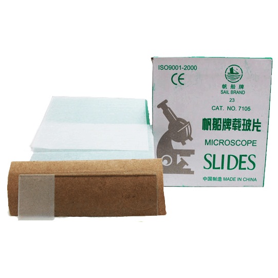 แผ่นสไลด์ (ฝ้า)