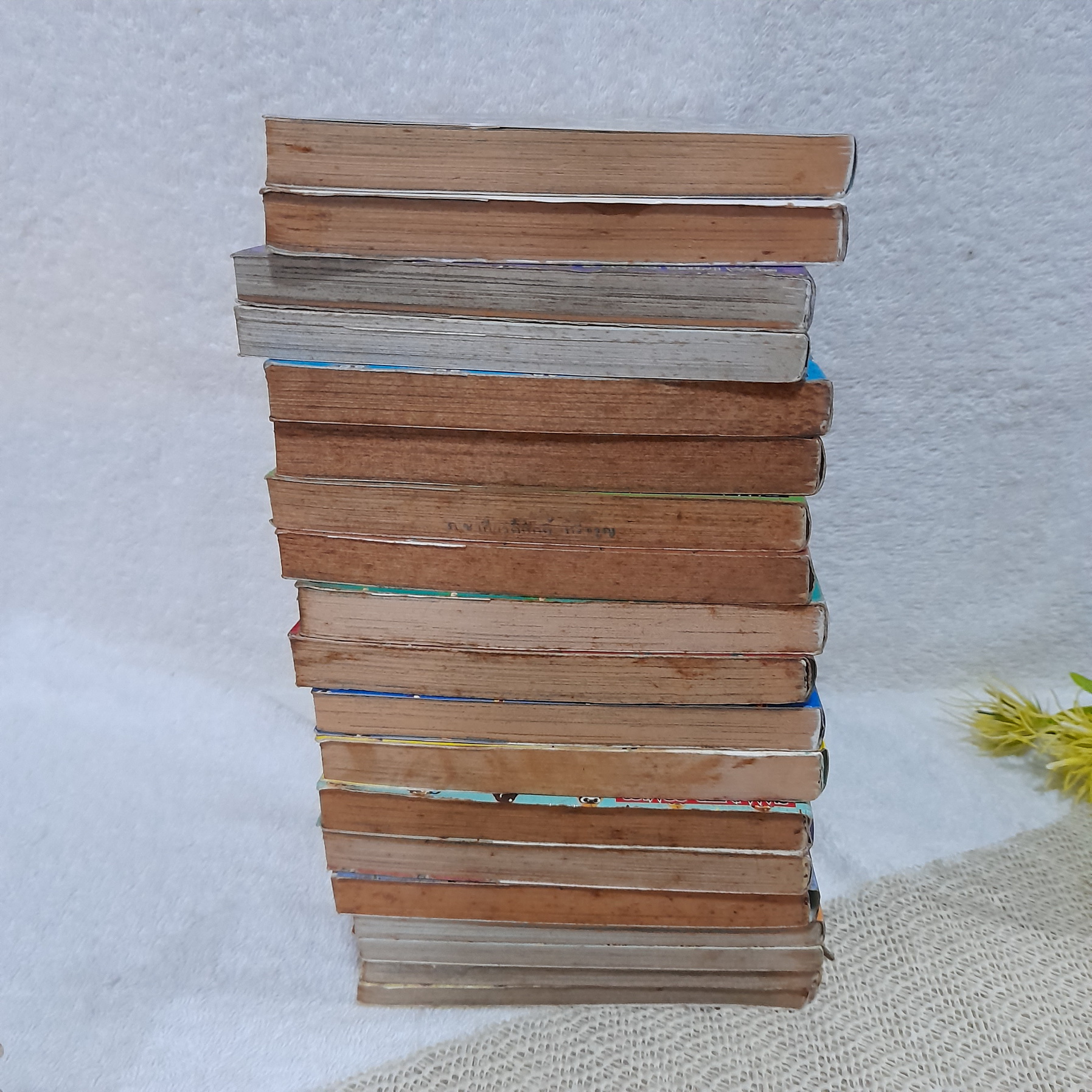 เคโรโระ ขวนการอ๊บอ๊บป่วนโลก 1-19 ไม่จบ / * ขาดเล่ม 20-28