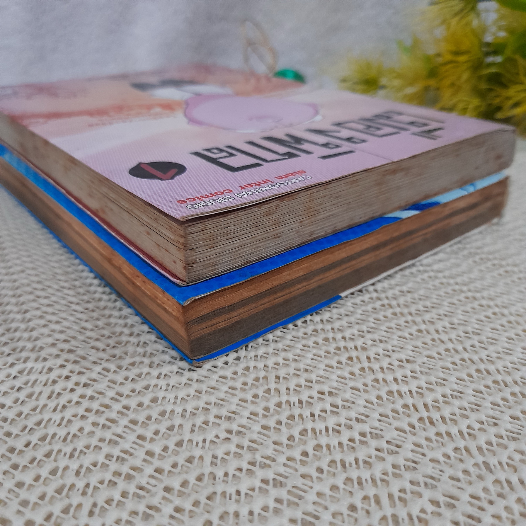 เมืองพิกล 1-2 จบ / อิทธิวัฐก์ สุริยมาคย์