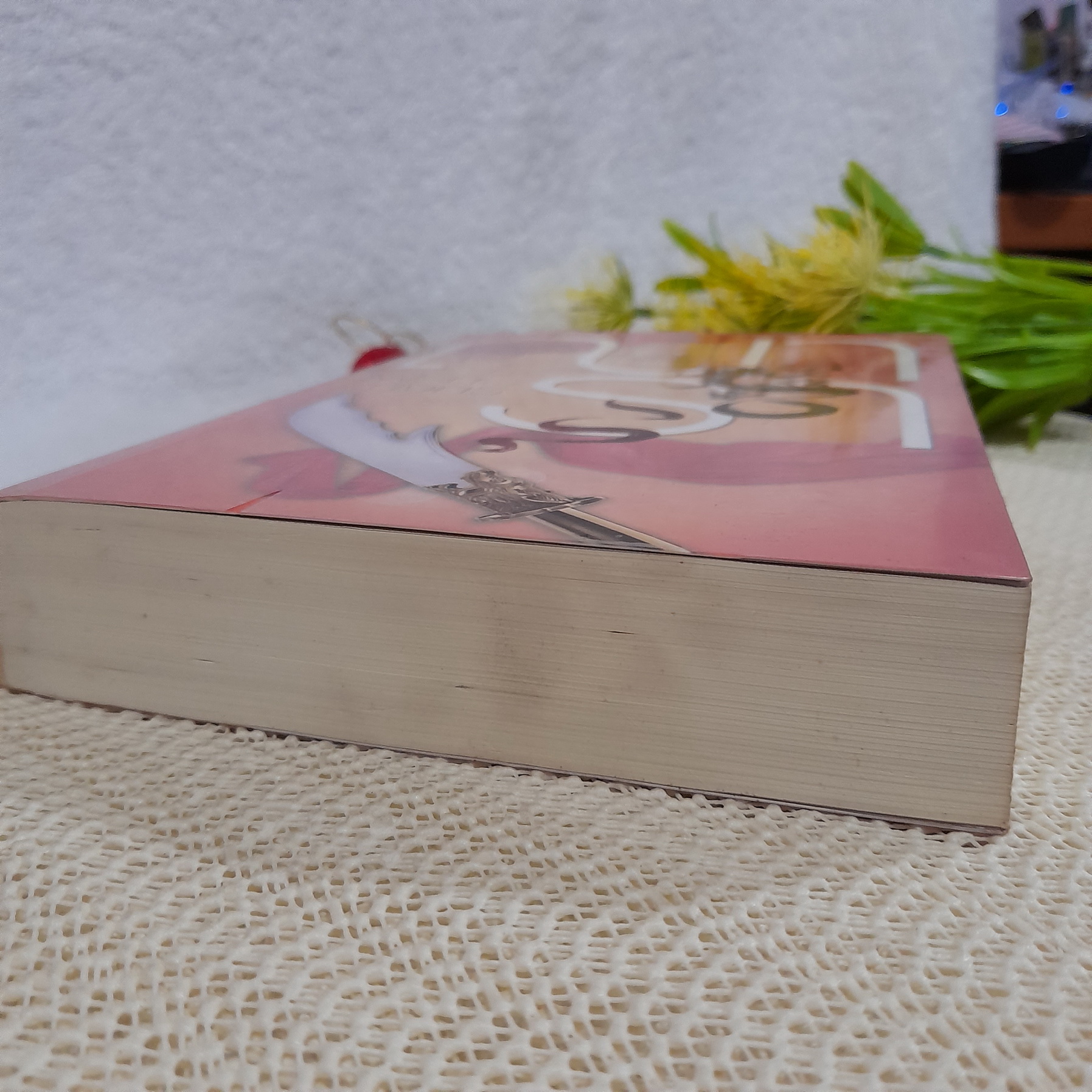 ไฟรักมังกร / ณารา