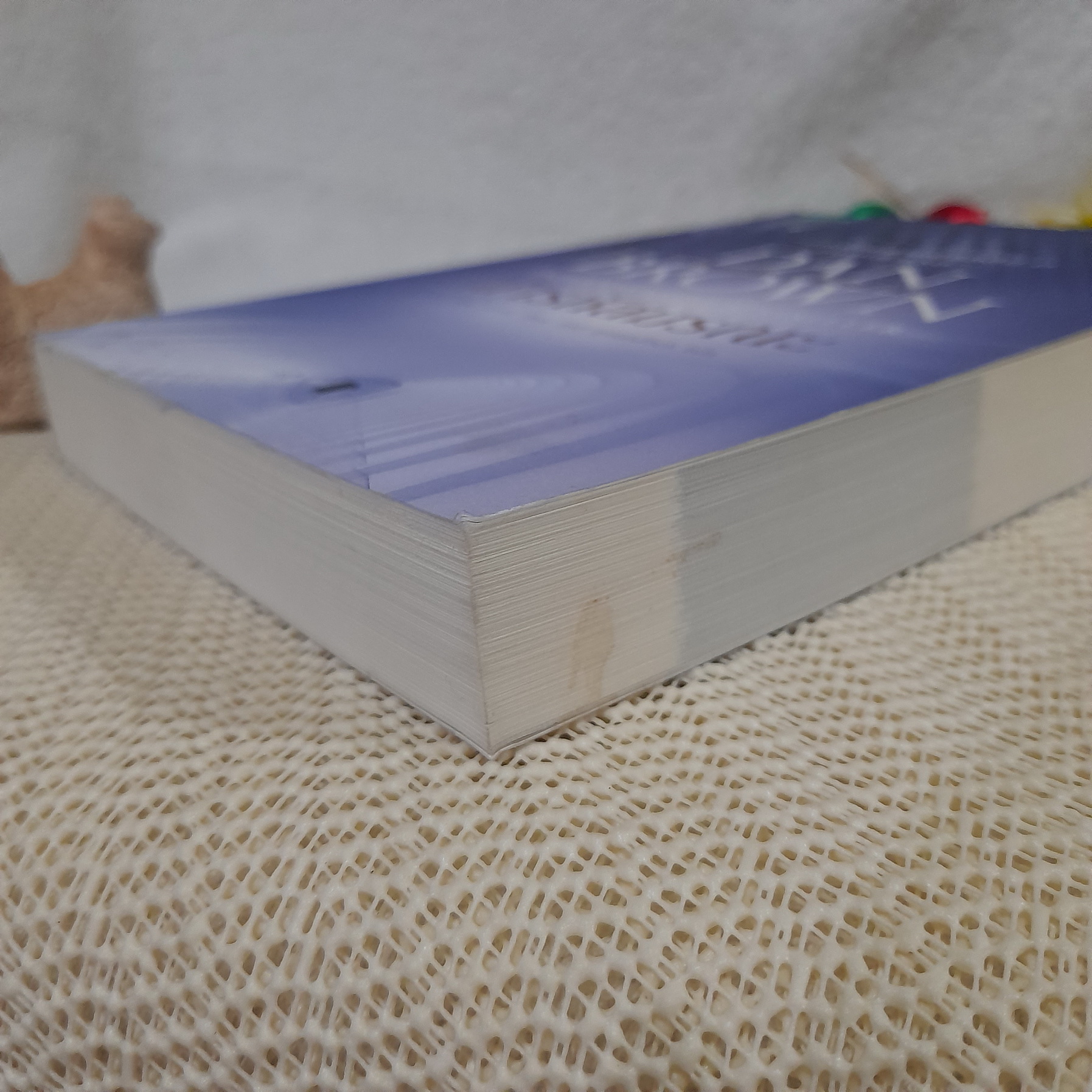 ล่ารหัสมรณะ (Digital Fortress) / Dan Brown