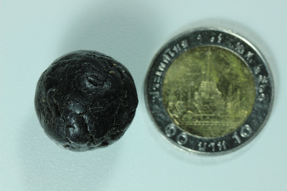 ลูกอมหนังเสือ หลวงพ่อโอด(ขายแล้ว)