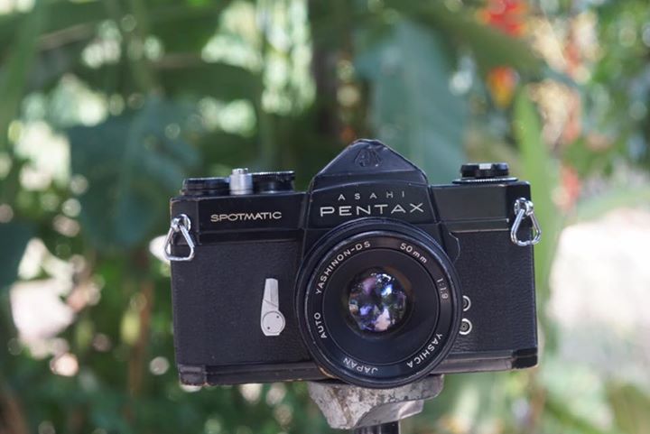 Asahi Pentax Spotmatic SP Yashica Auto Yashinon-DS 50mm. F1.9