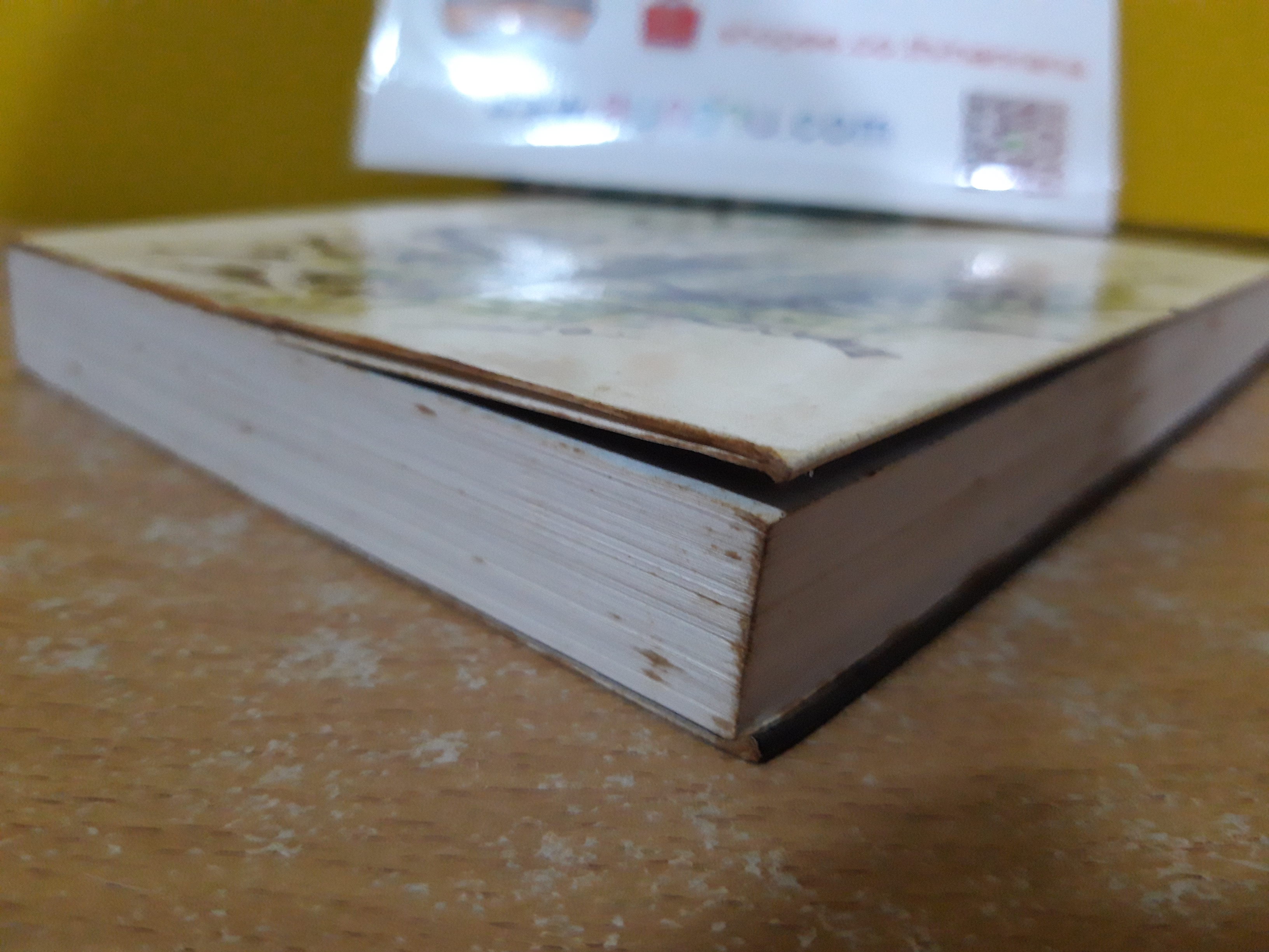 ล่องไพร ตอน เทวรูปชาวอินค่ / น้อย อินทนนท์