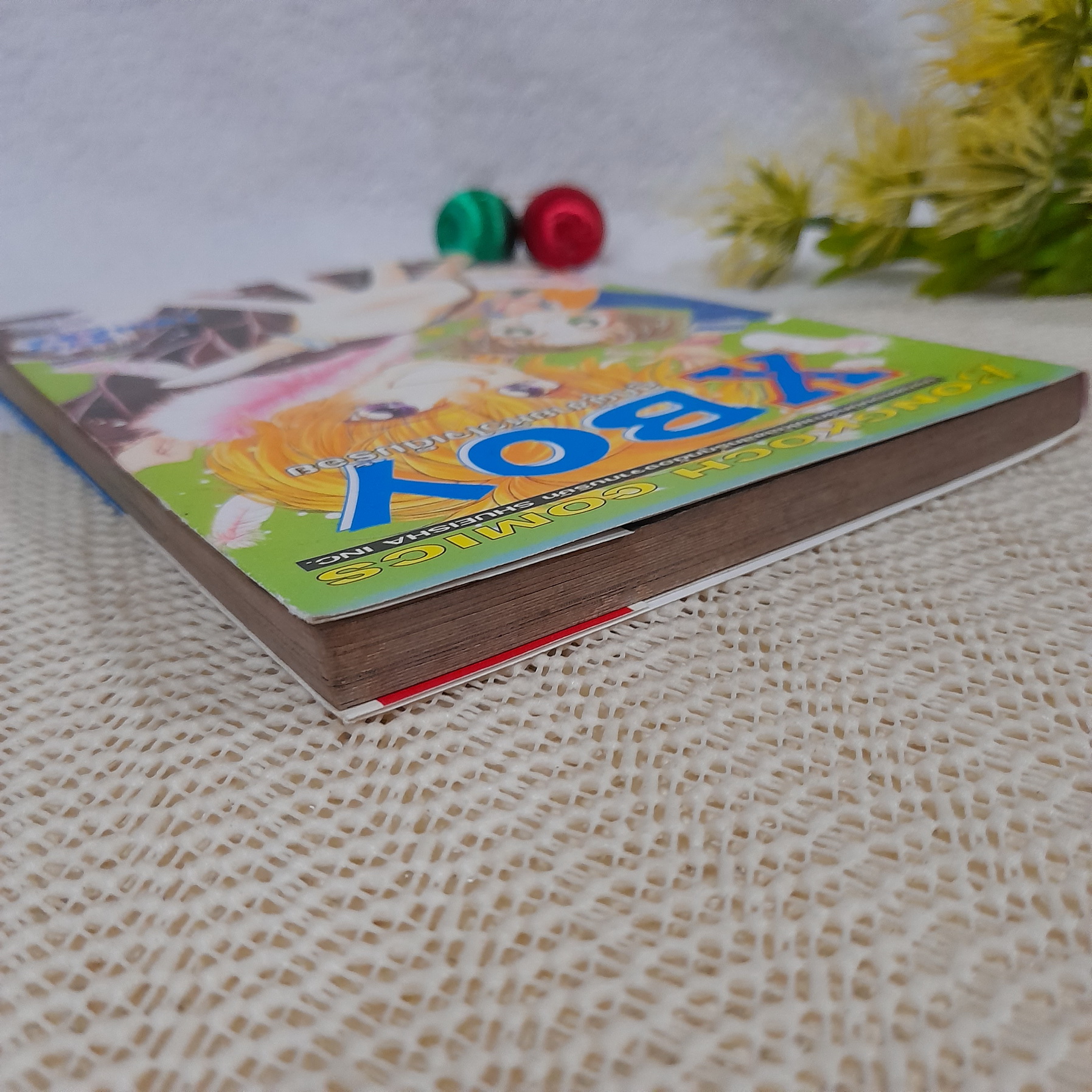 X Boy ลูกผู้ชายหัวใจเต็มร้อย / Ryo Ebihara