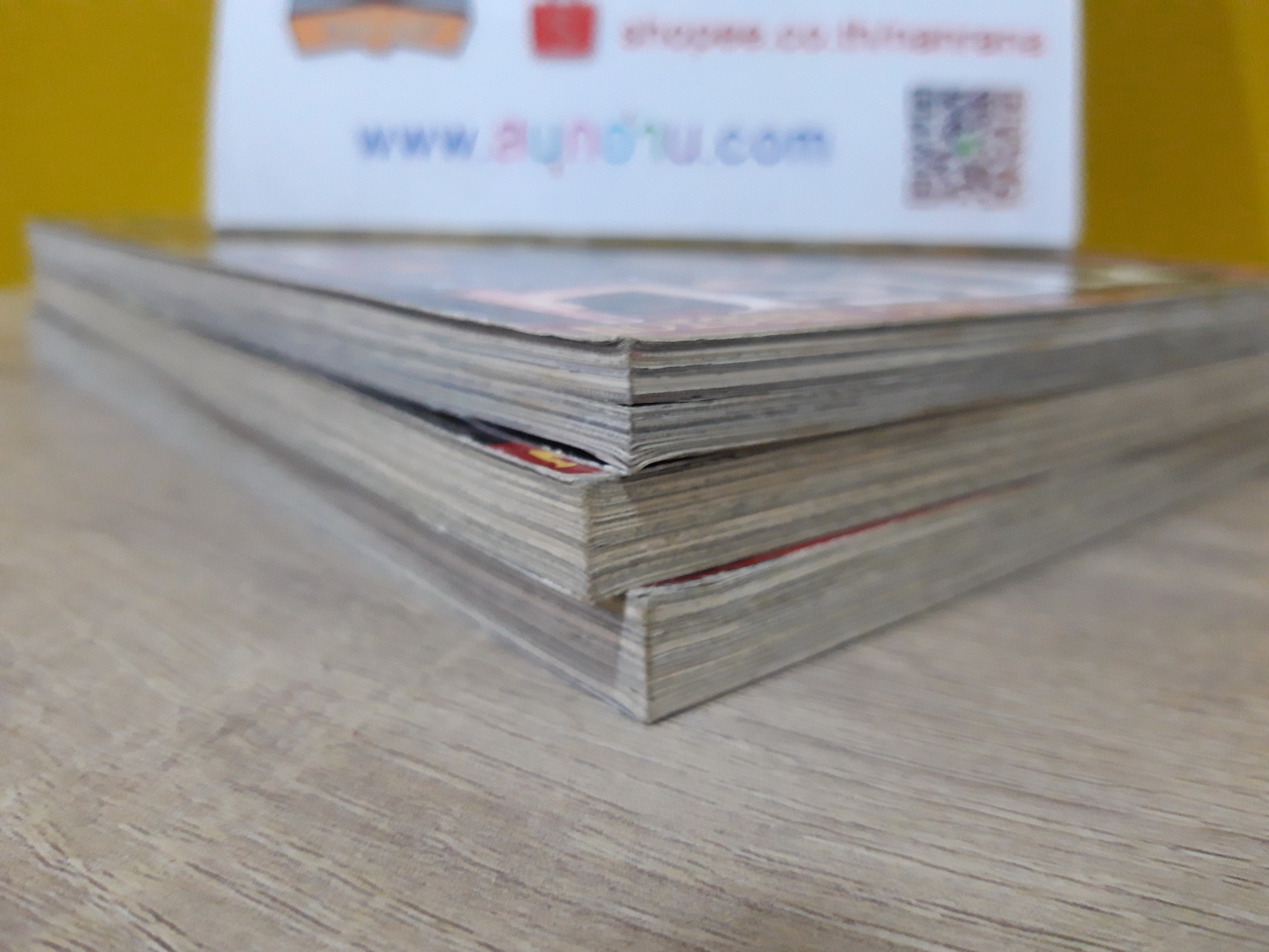 การิน ปริศนาคดีอาถรรพ์ คดีที่ 5 : สะพานข่ามอัสดงแห่งความตาย บทแรก / บทกลาง / บทจบ