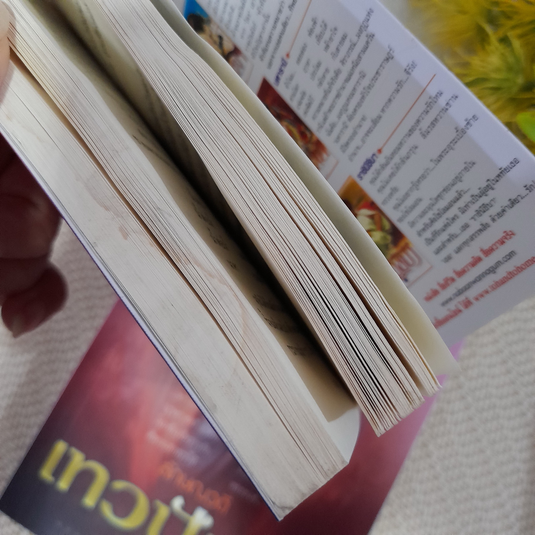 เทวาปักษี 1-2 จบ / ลักษณวดี