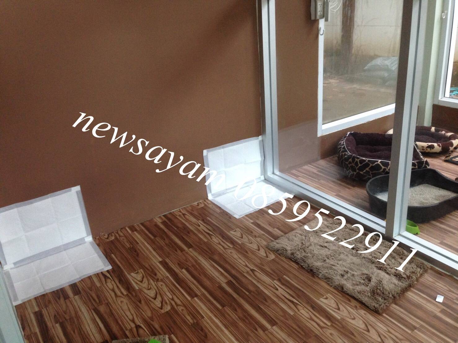 ลายมาใหม่ 16/6/60 (คลิ๊กดูด้านใน)