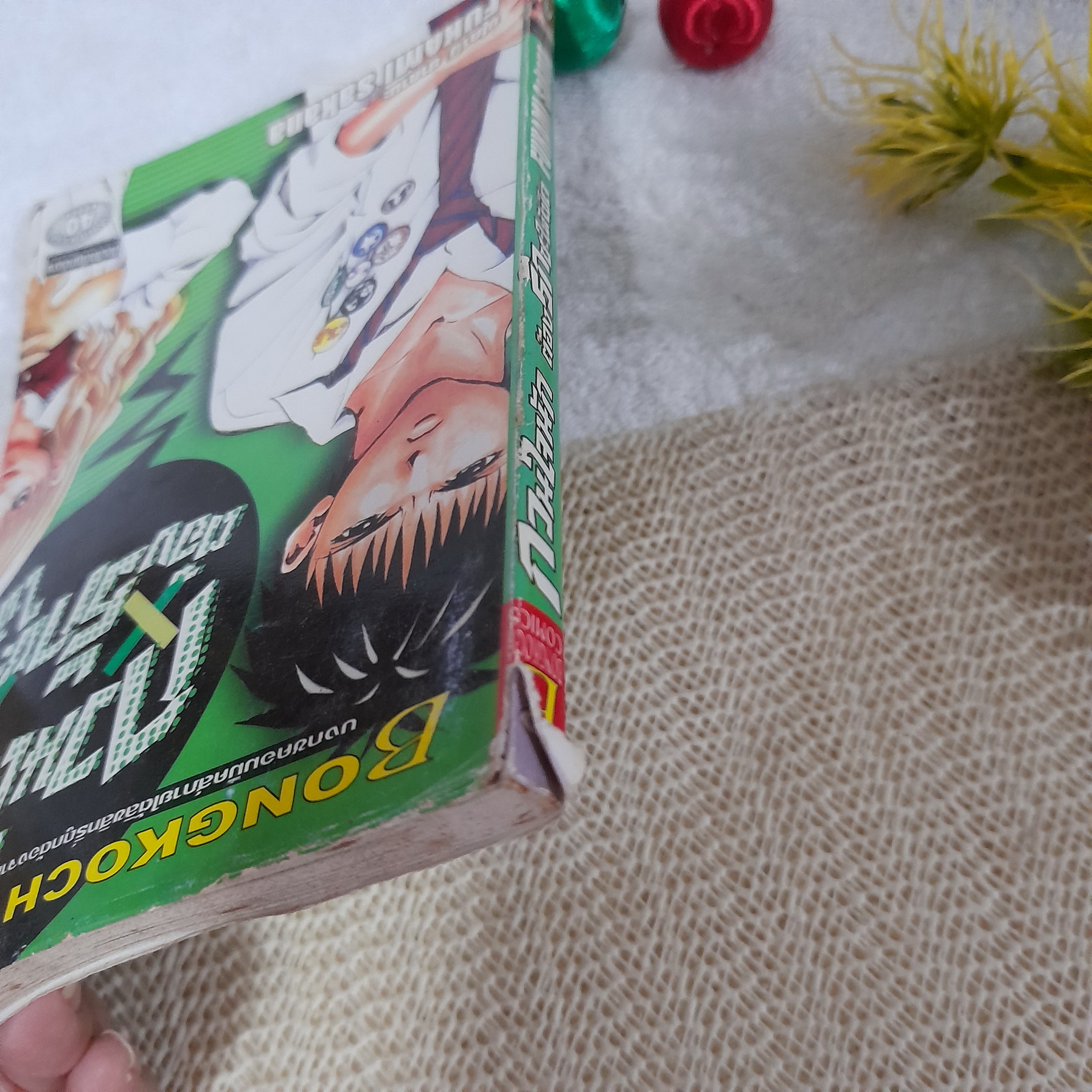 กวนใจนักต้องรักซะให้เข็ด / Fukami Sakana