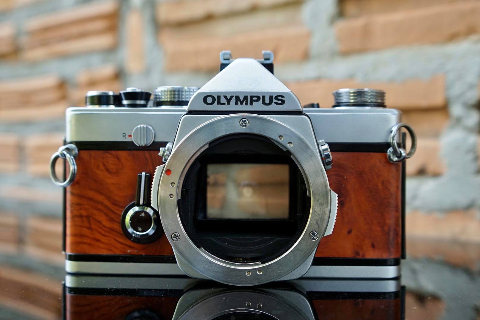 OLYMPUS OM-1(BODY)