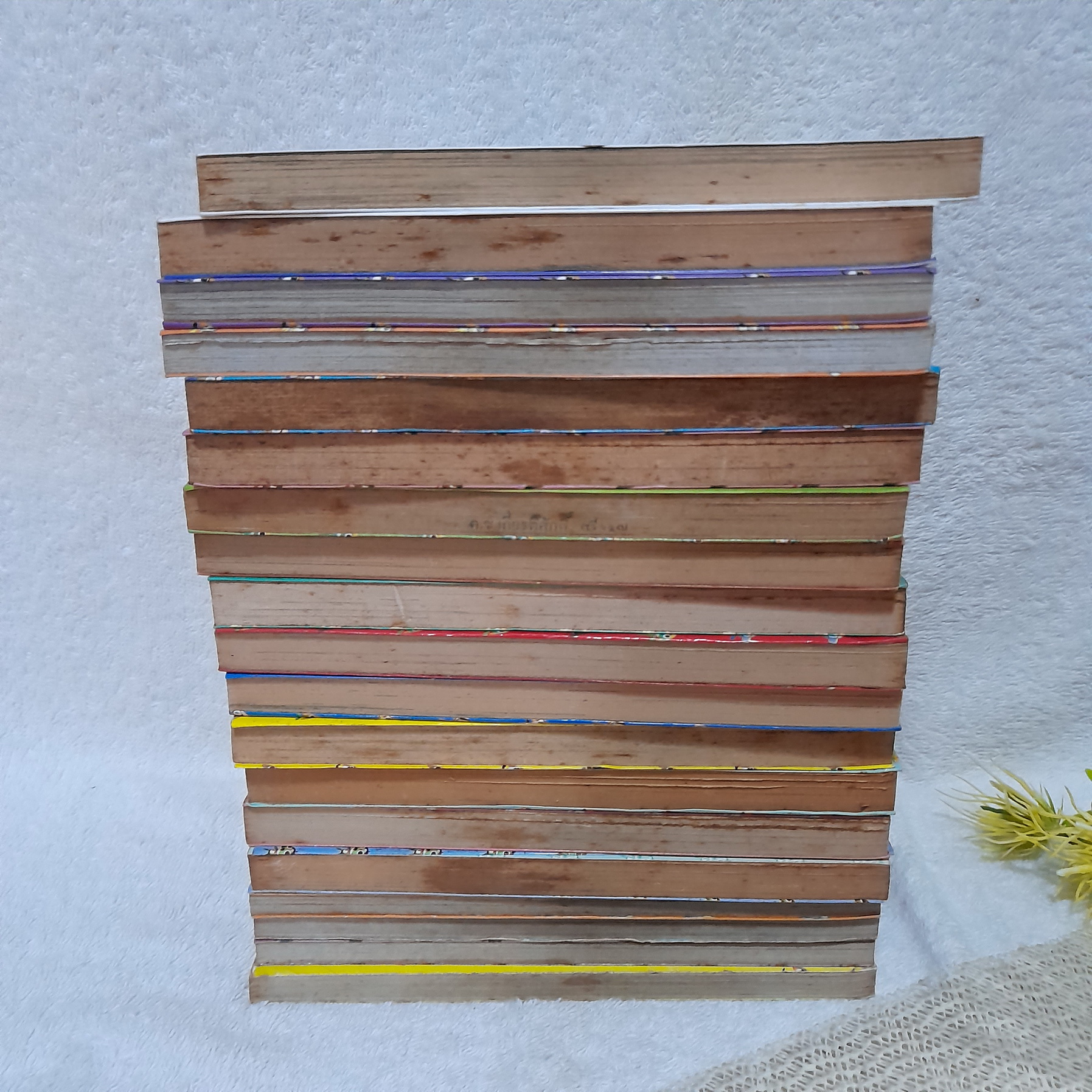 เคโรโระ ขวนการอ๊บอ๊บป่วนโลก 1-19 ไม่จบ / * ขาดเล่ม 20-28