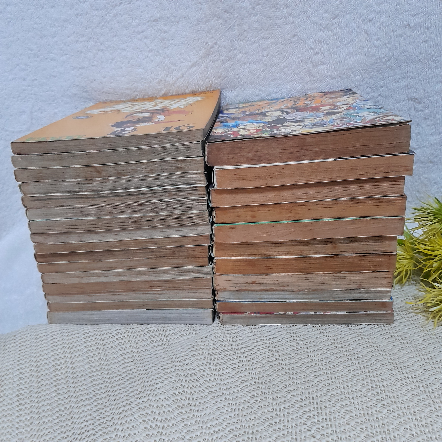 ราชันย์แห่งภูต (shaman king) 1-32 จบ / ** ขาดเล่ม 17,18,20,22