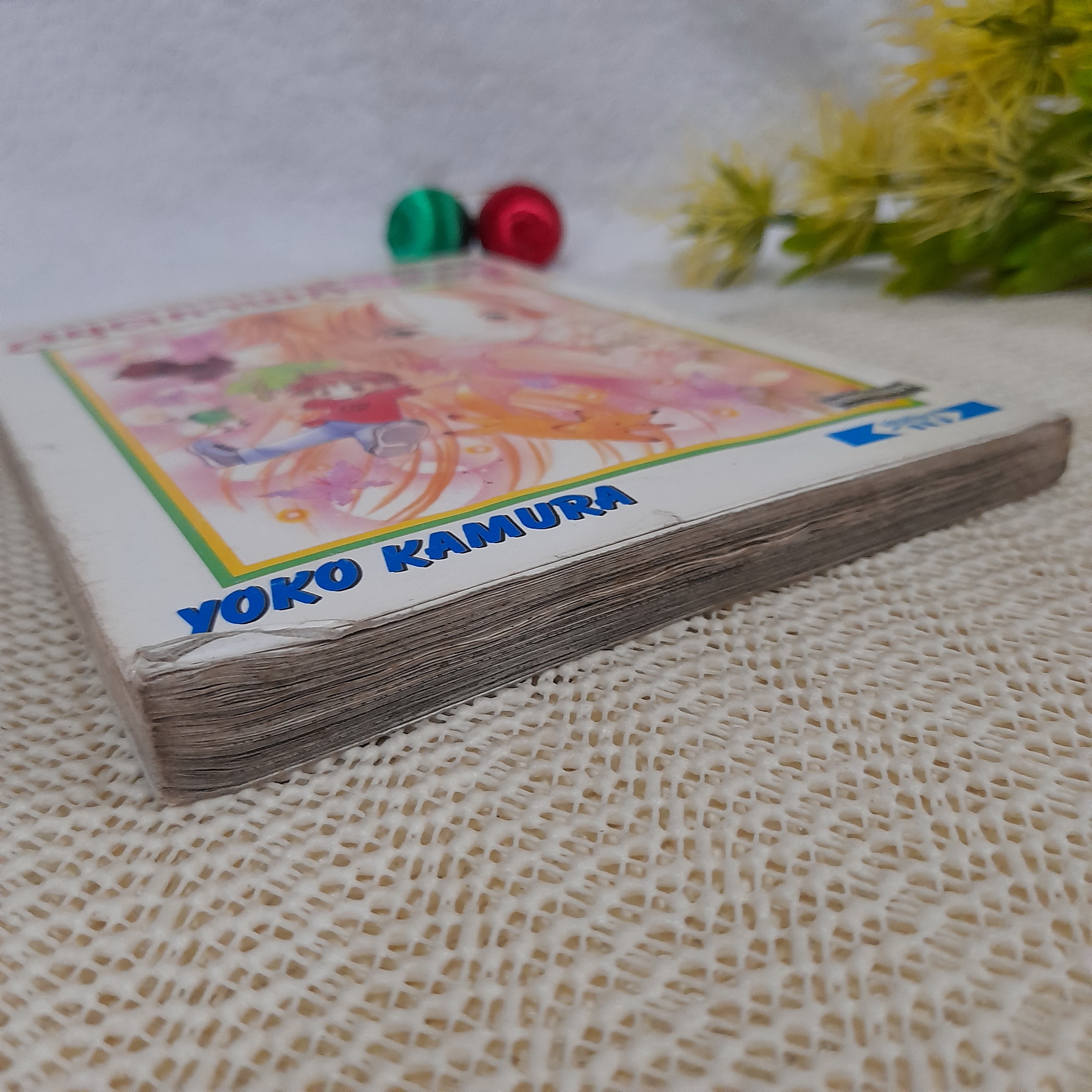 สมุดภาพสีพิศวง / Yoko Kamura