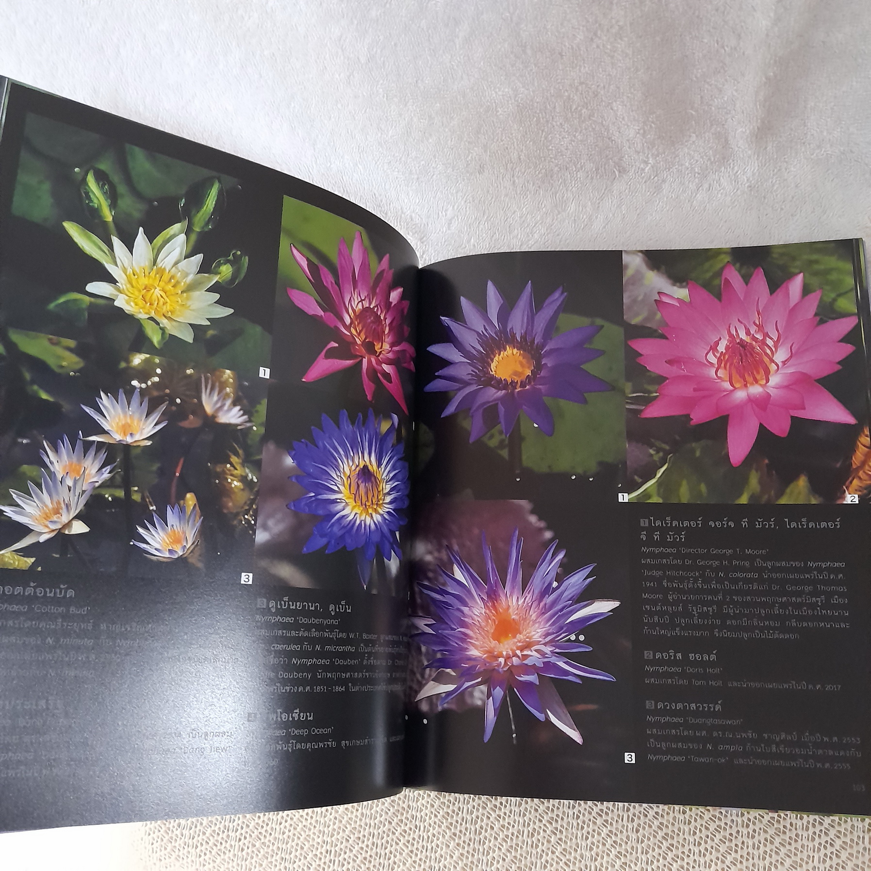 บัว Waterlilies & Lotus (ปกแข็ง) / วีระประวัติ ตรีสุวรรณ - ภวพล ศุภนันทนานนท์