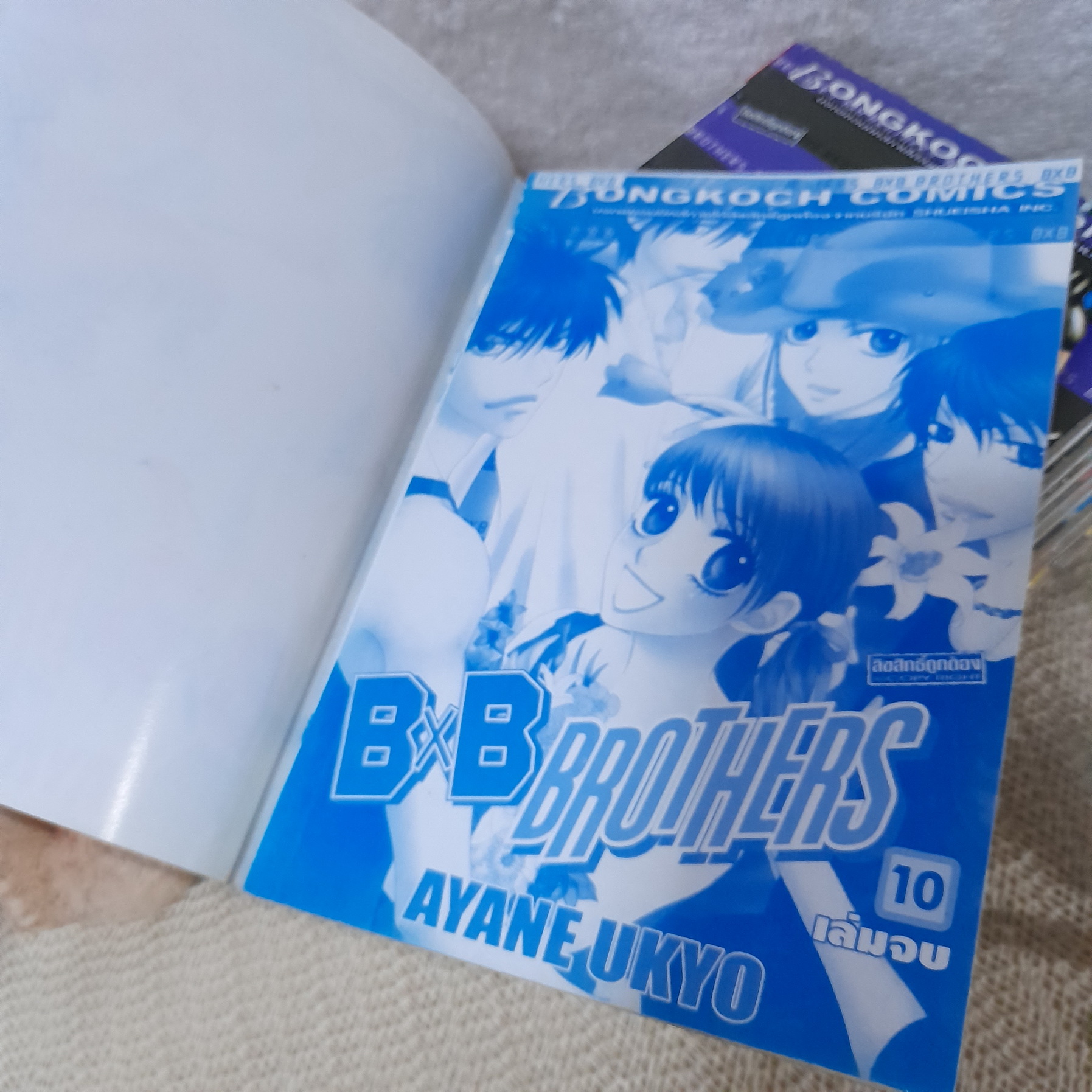 BxB Brothers 1-10 จบ / * ขาดเล่ม 9