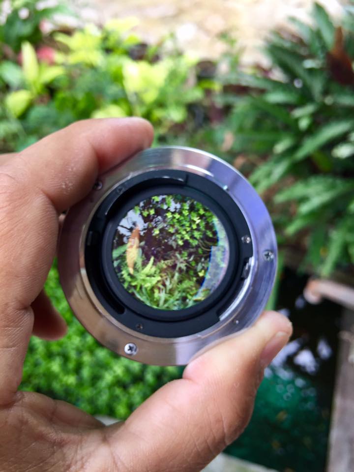 OLYMPUS OM-SYSTEM G-ZUIKO AUTO-S 50MM.F1.4 OM MOUNT