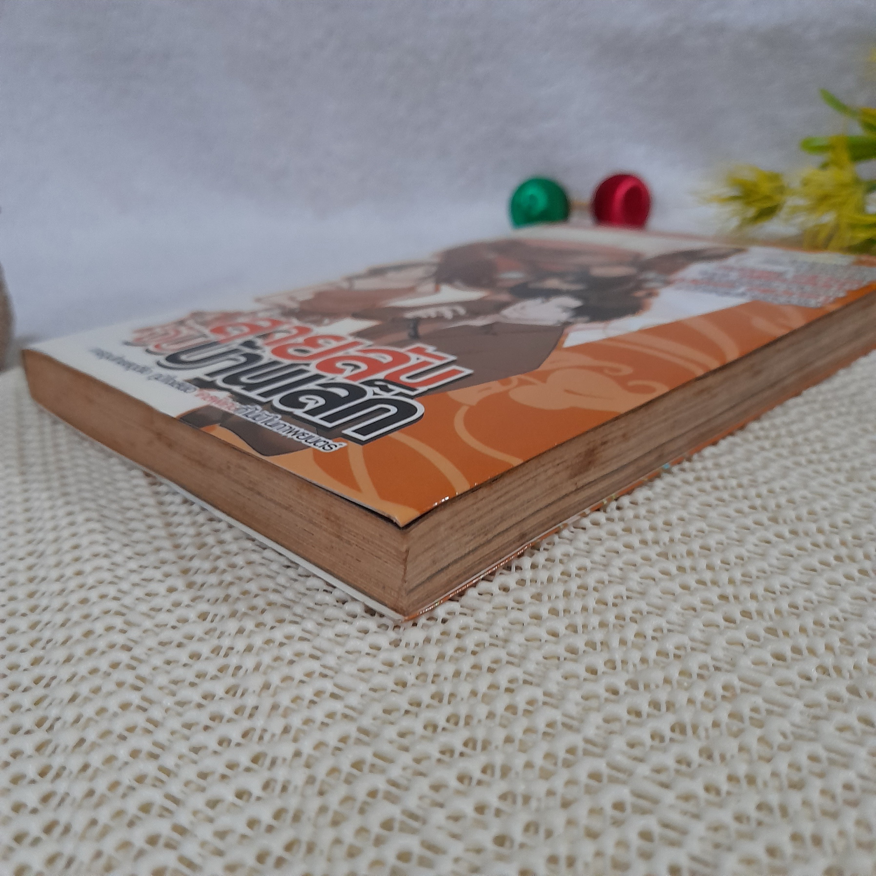 สายลับจับบ้านเล็ก