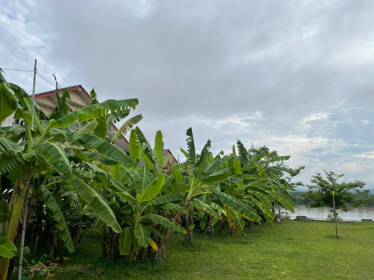 กล้วยกระทบเปลือก อบเกลือ เค็มน้อย 500g.