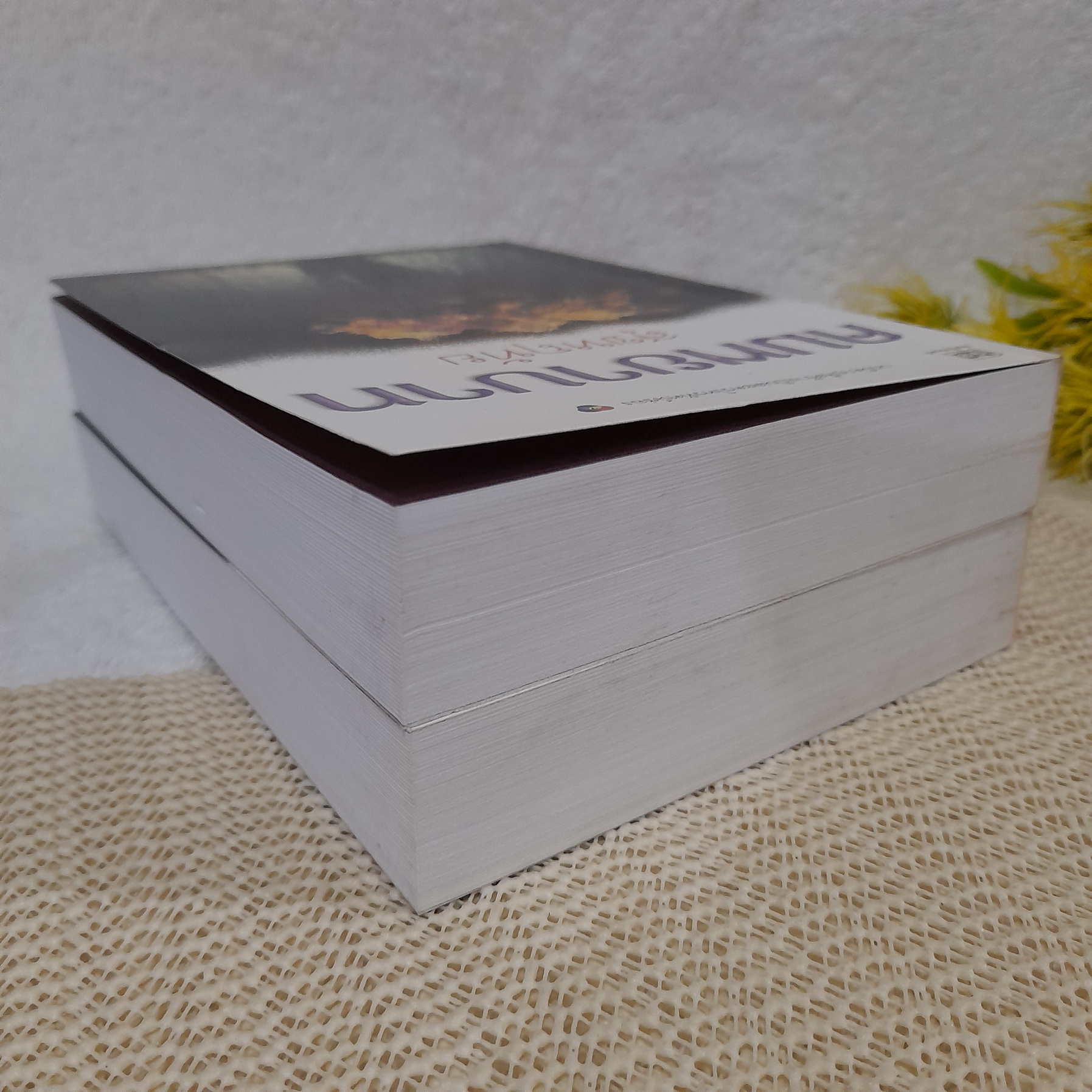 คมพยาบาท / สุขหฤทัย