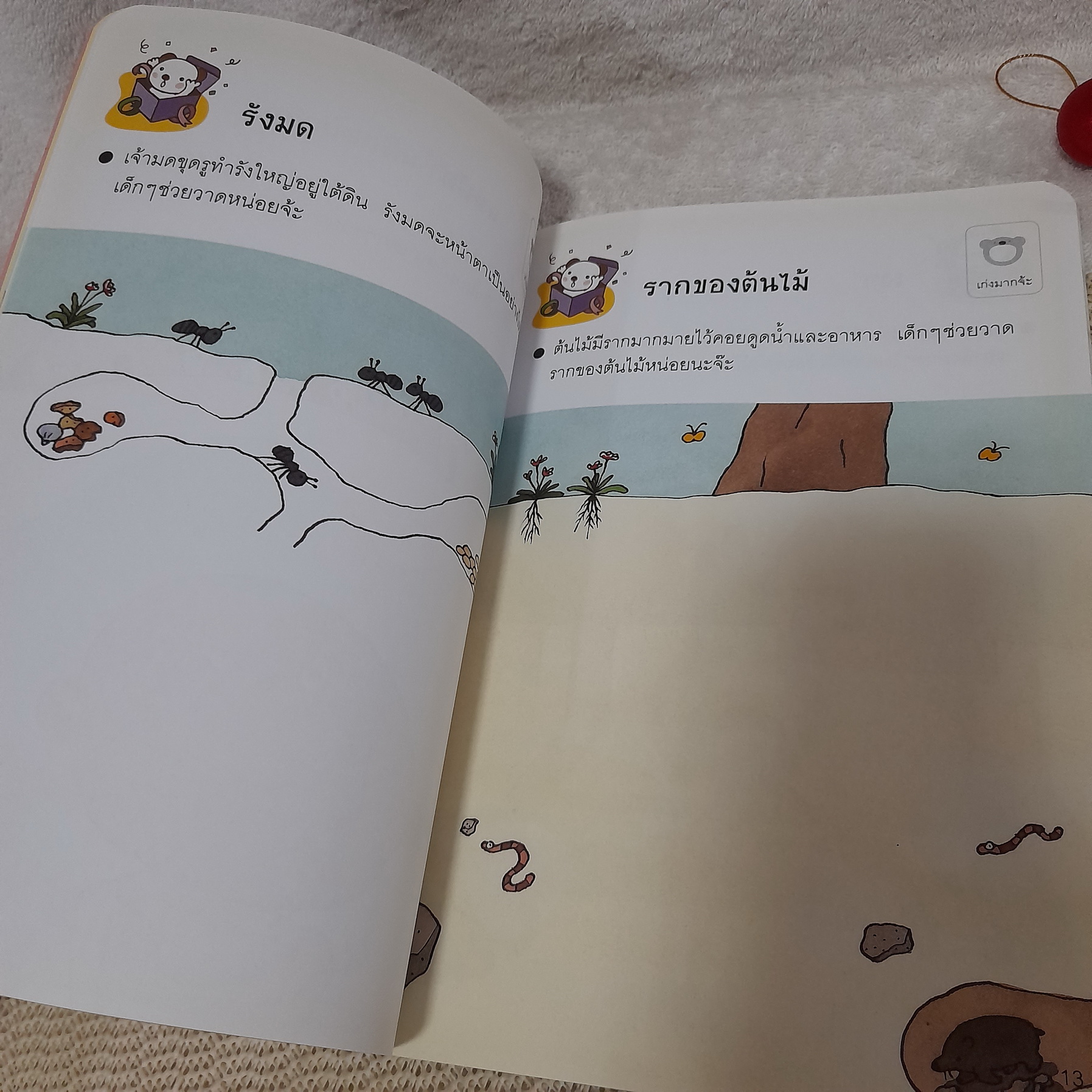 แรกเริ่มระบายสี สำหรับ 6 ปีขึ้นไป