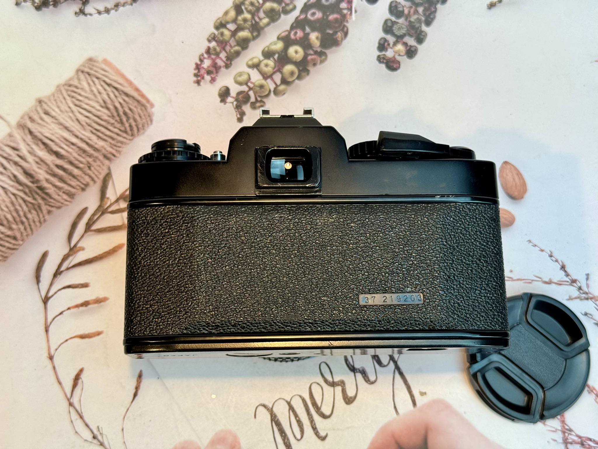 ☆極上品☆リコー XR500 RIKENON 50mm f2 L #1135 Poor-man's