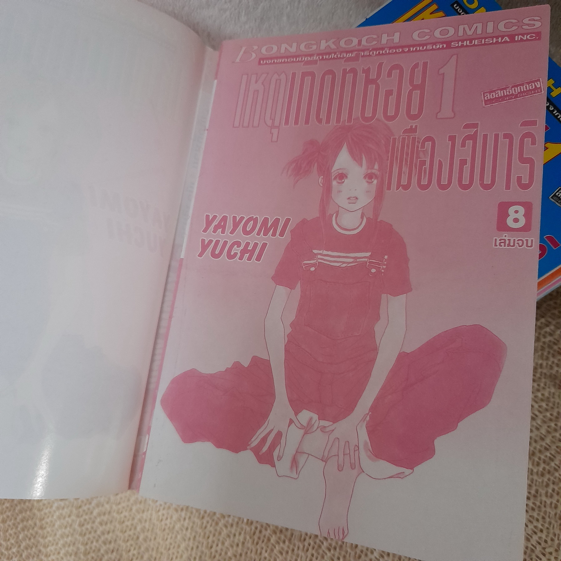 เหตุเกิดที่ทซอย 1 เมืองฮิบาริ 1-8 จบ