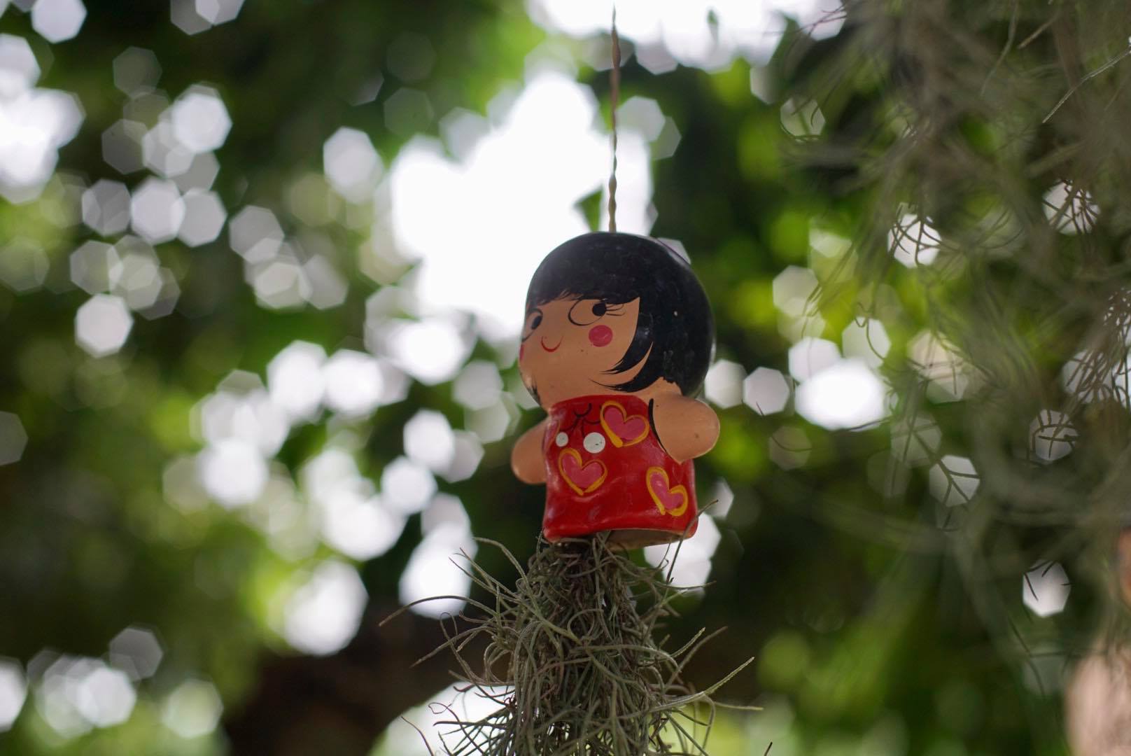 NIKON NIKKOR 50MM.F1.4 AI MOUNT