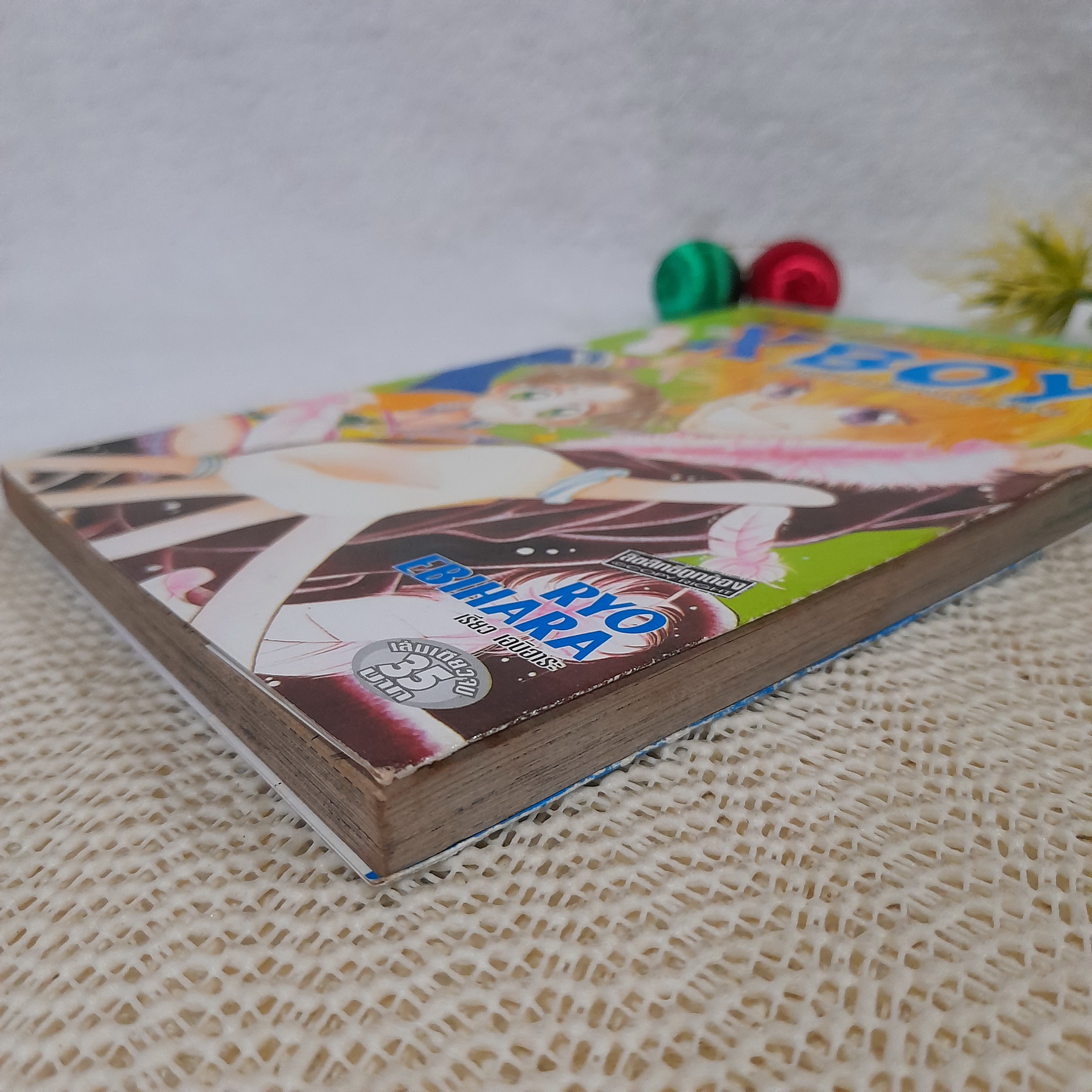 X Boy ลูกผู้ชายหัวใจเต็มร้อย / Ryo Ebihara