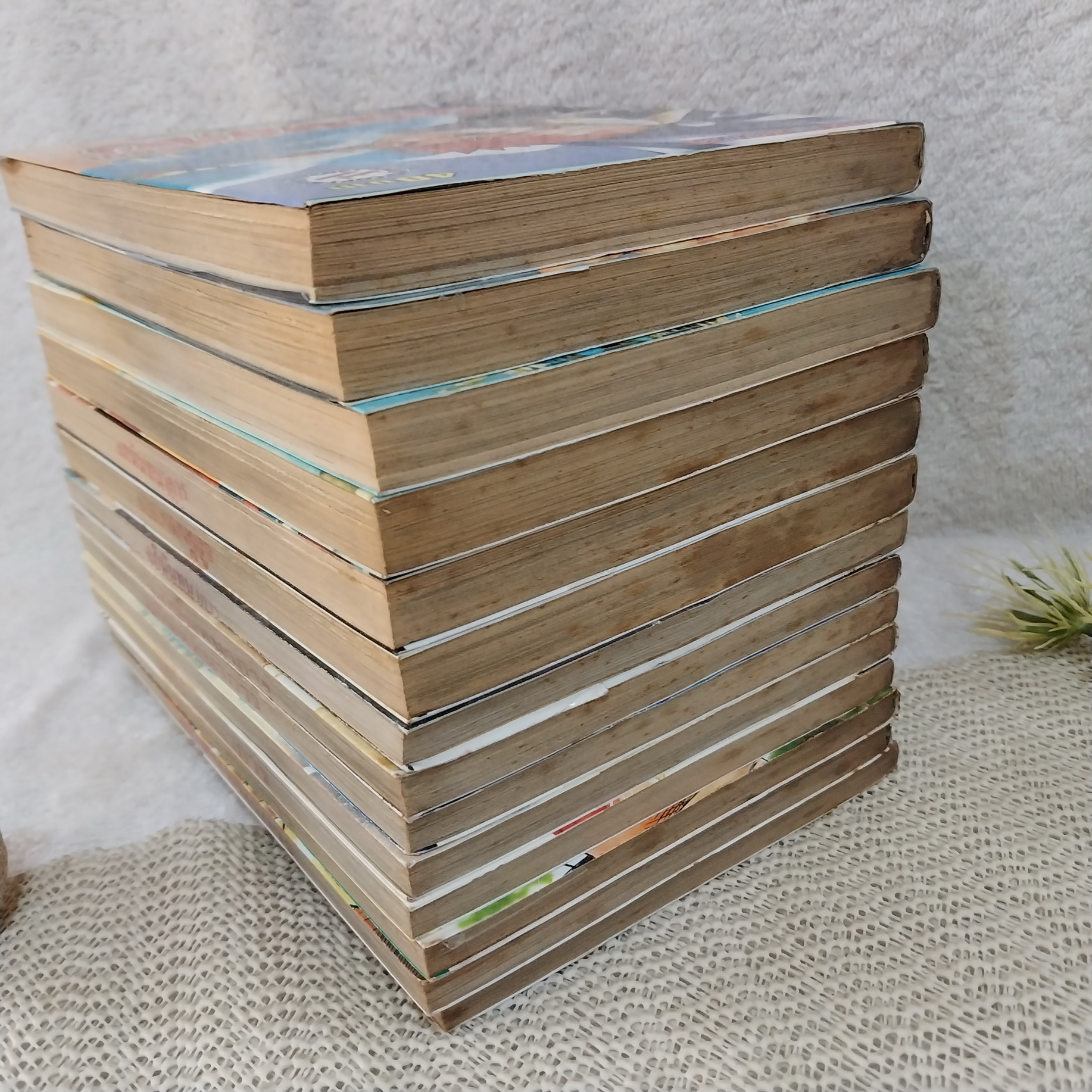 จอมดาบคัมภีร์เลือด เล่ม 1-14 ไม่จบ