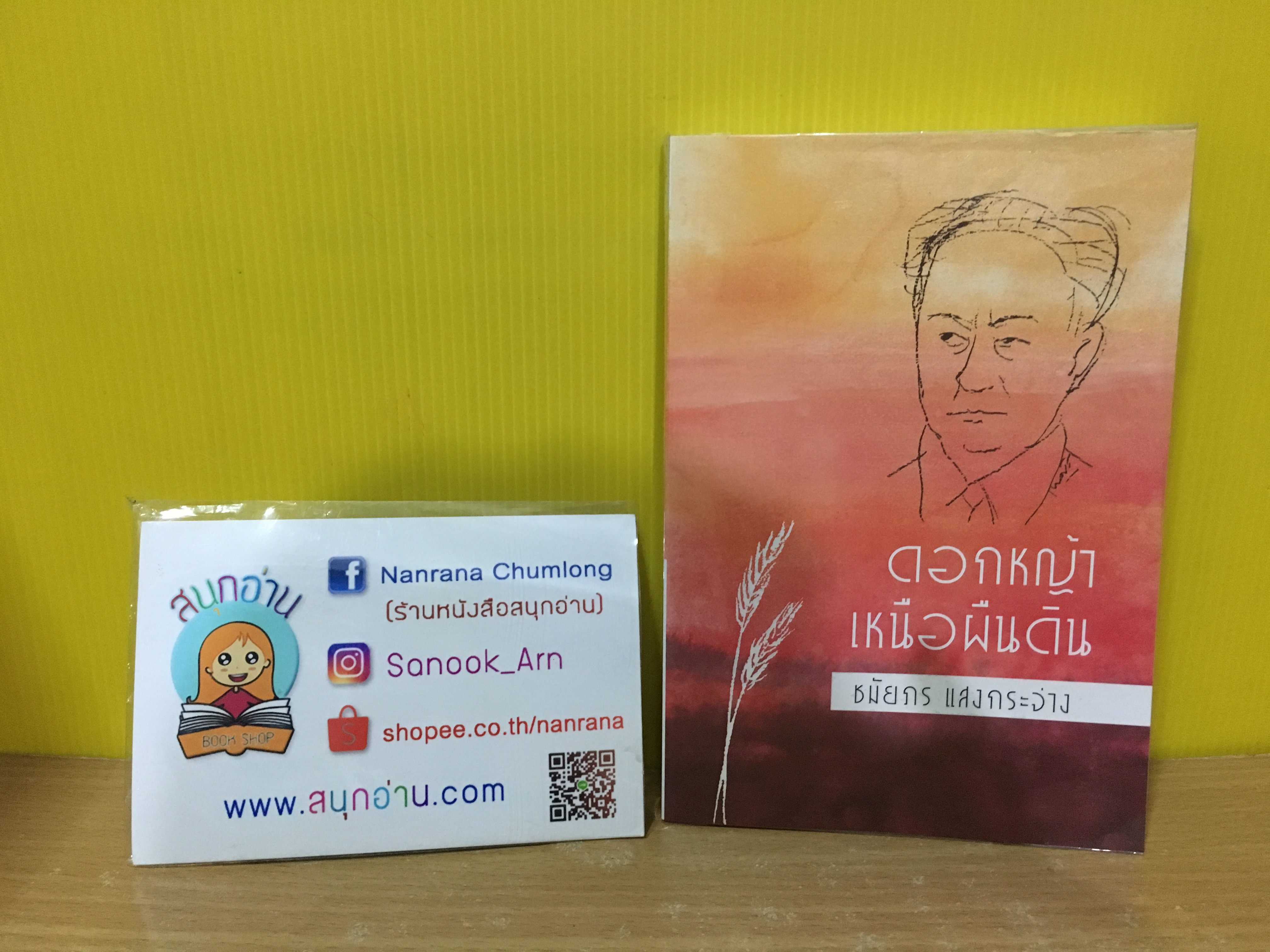 ดอกหญ้าเหนือผืนดิน (ชีวประวัติ อ.ป๋วย อึ้งภากรณ์)