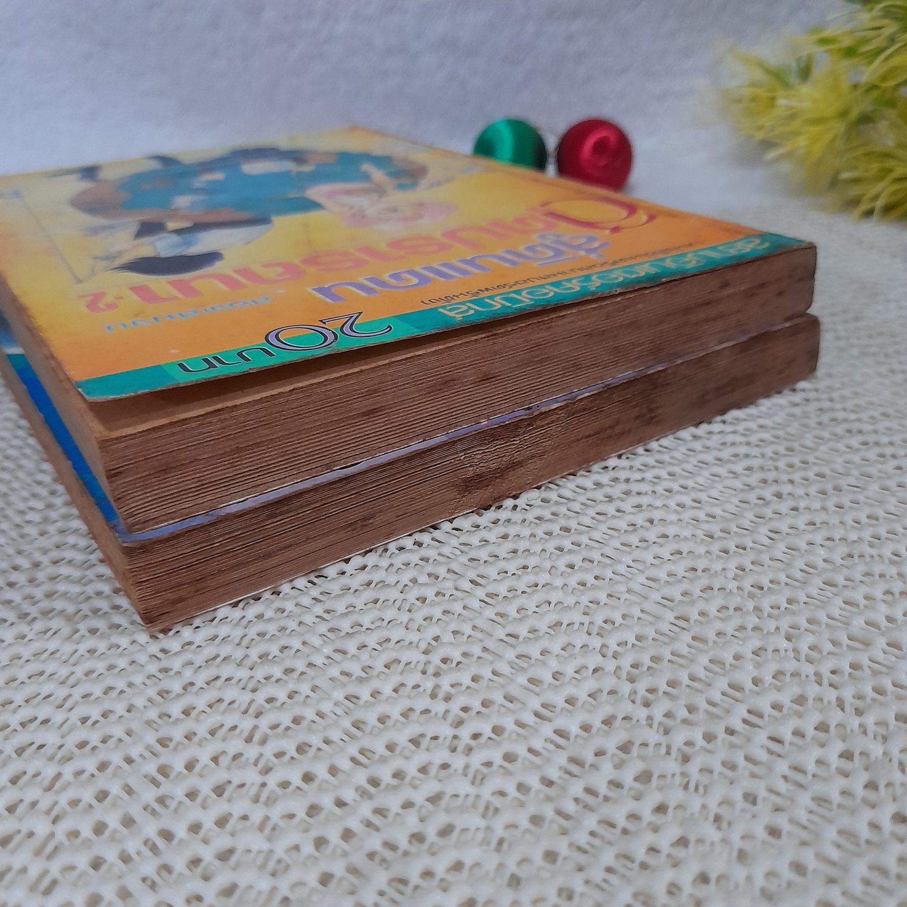 สู่ดินแดนสุดปรารถนา 1-2 จบ / Shintani Kaoru (ผลงานผู้วาด แอเรีย 88)