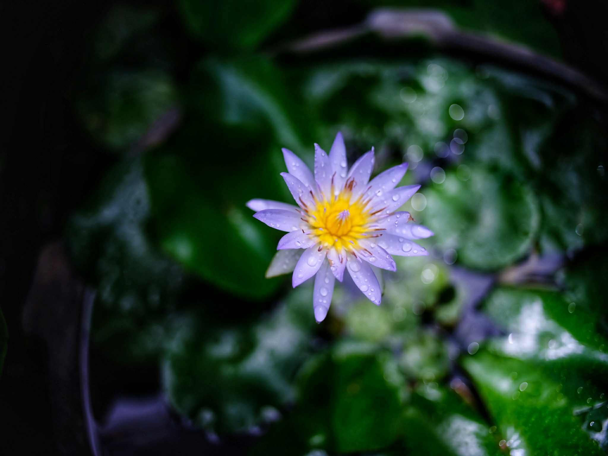 NIKON LENS SERIES E 35MM.F2.5 NIKON AIS MOUNT