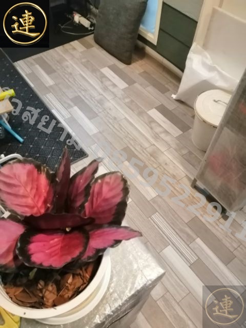 ลายเสื่อน้ำมัน มาใหม่ 1 มกราคม 2566