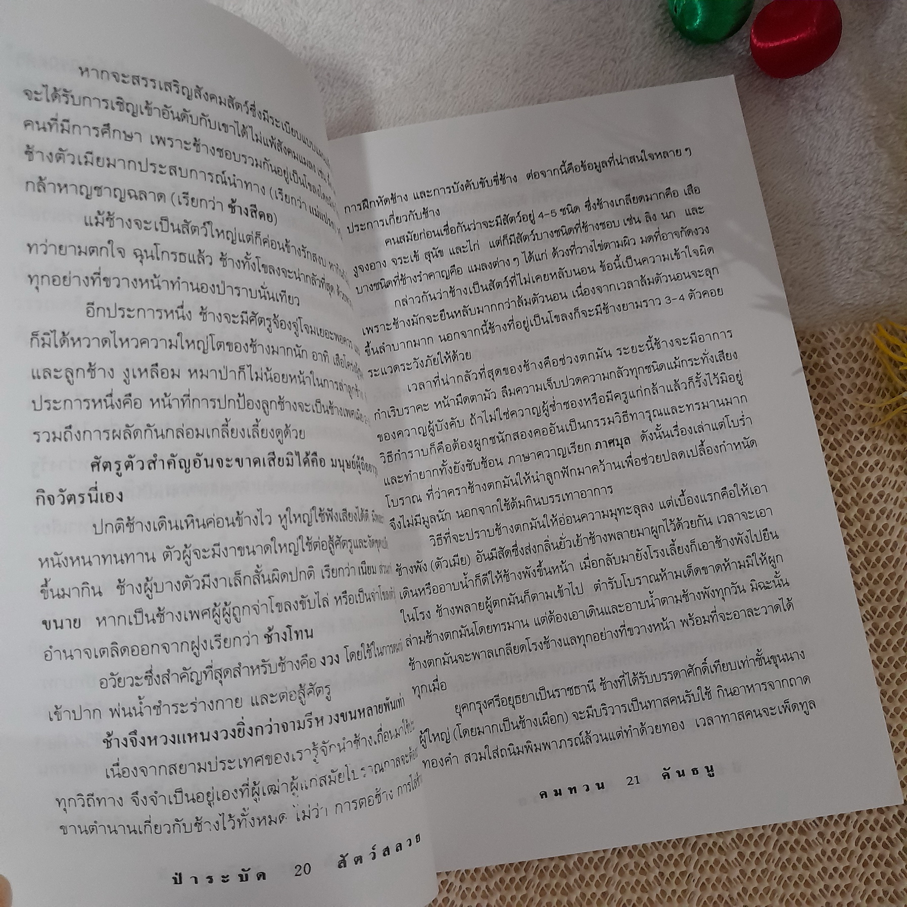 ป่าระบัด สัตว์สลวย / คมทวน คันธนู