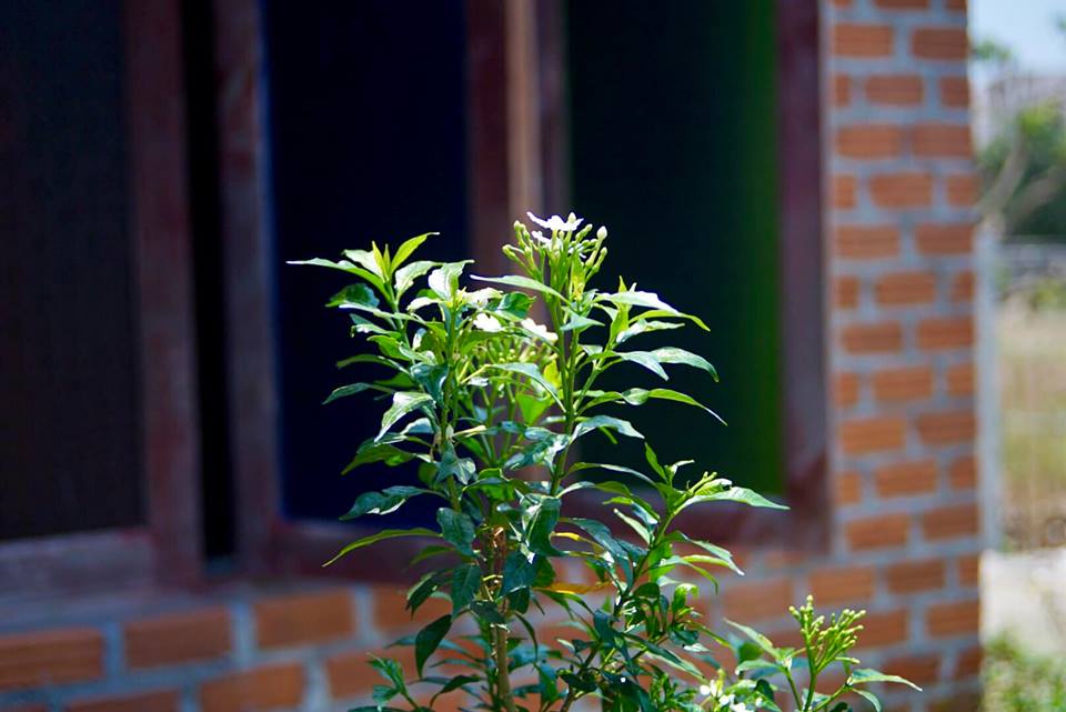 MINOLTA AF ZOOM 35-70MM.F3.5(22)-4.5 SONY A MOUNT