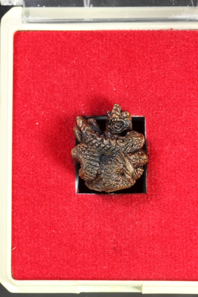 นาคเกี้ยว(เล็ก) หลวงปู่คำพันธุ์ ขายแล้ว