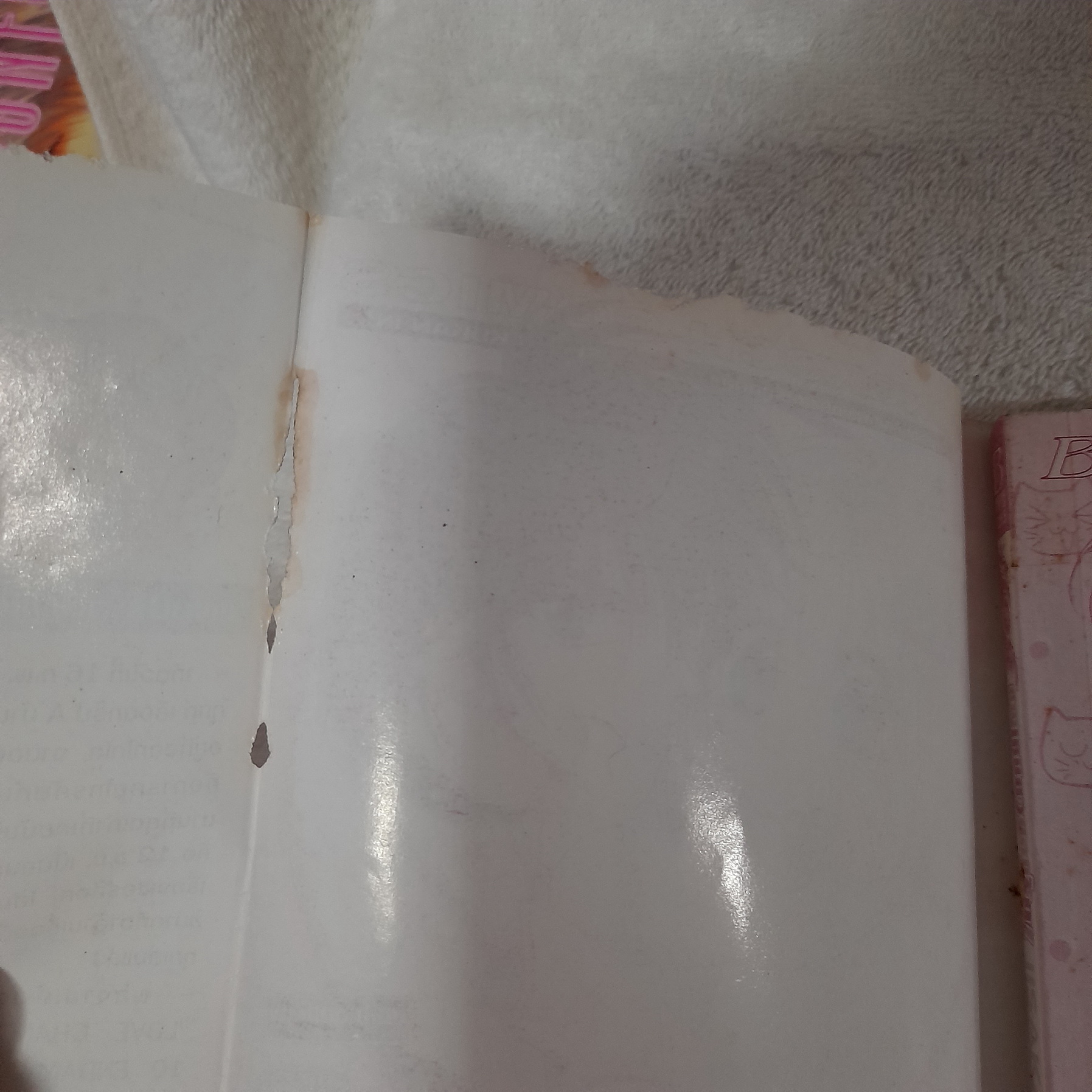 นัวร์ คุณเหมียวยอดรัก / Iisaka Yukako