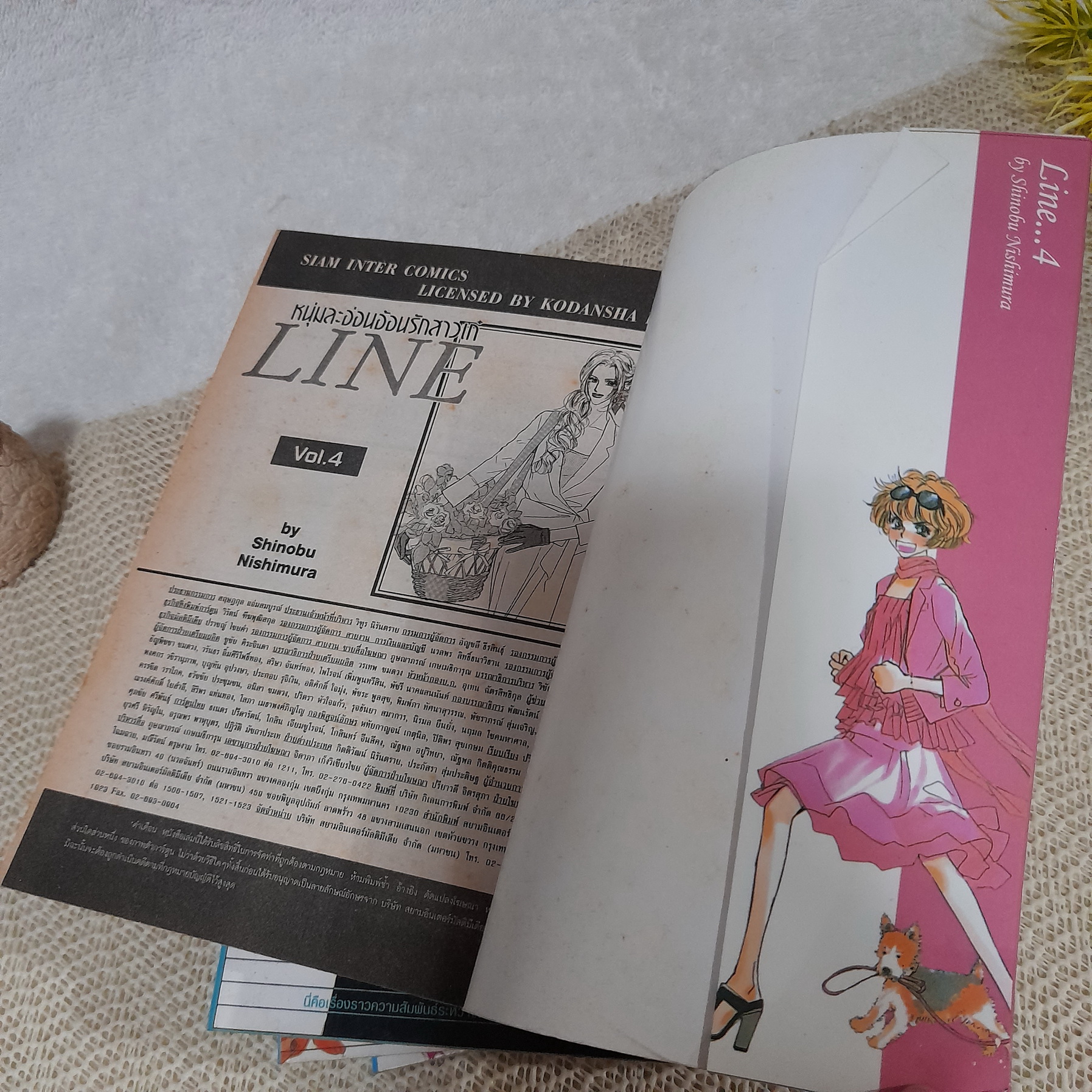 Line หนุ่มละอ่อนอ้อนรักสาวเก๋ 1-4 ไม่จบ