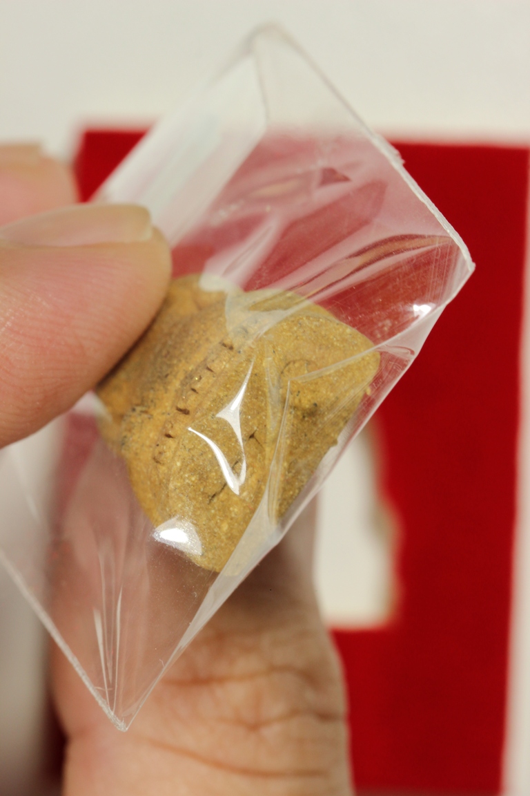 พระปิดตา หลวงพ่อพัฒน์ วัดห้วยด้วน รุ่นเศรษฐีมหาลาภ พิมพ์เล็ก