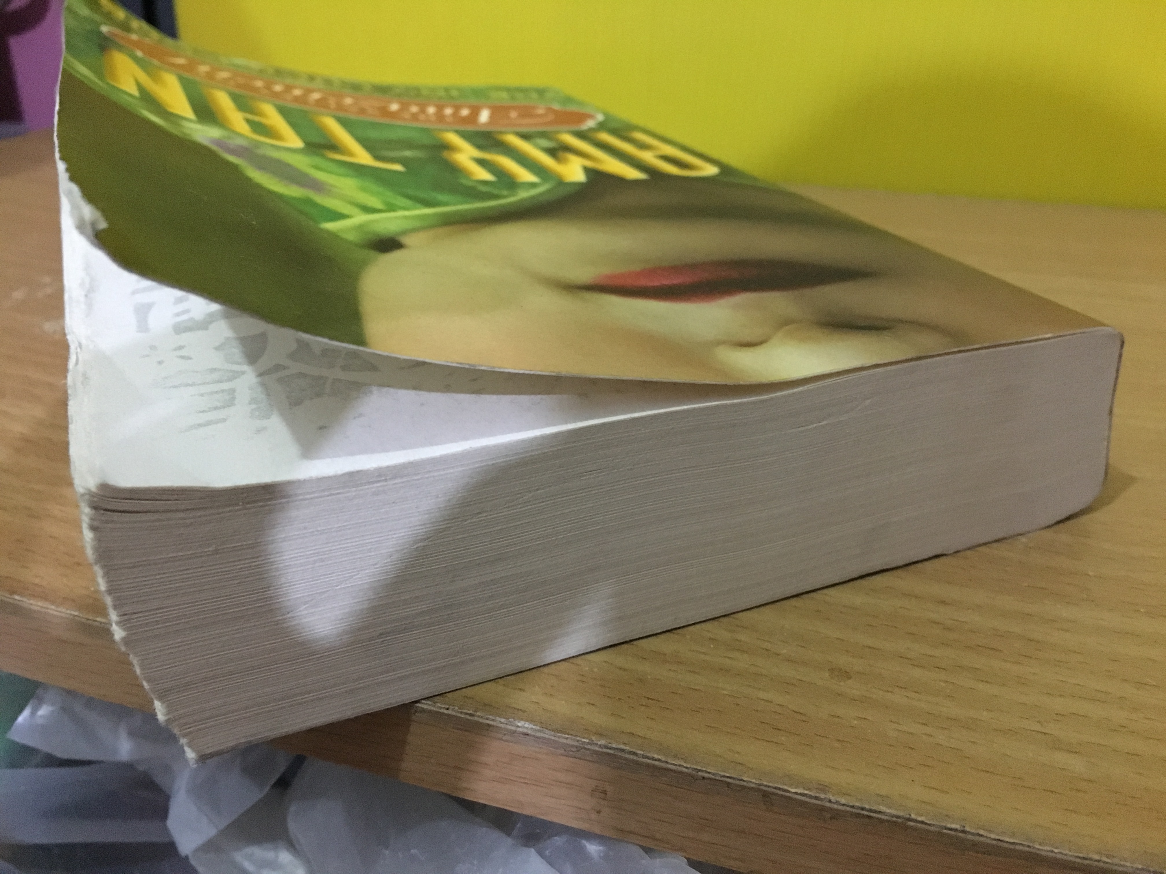 The valley of amazement / Amy Tan