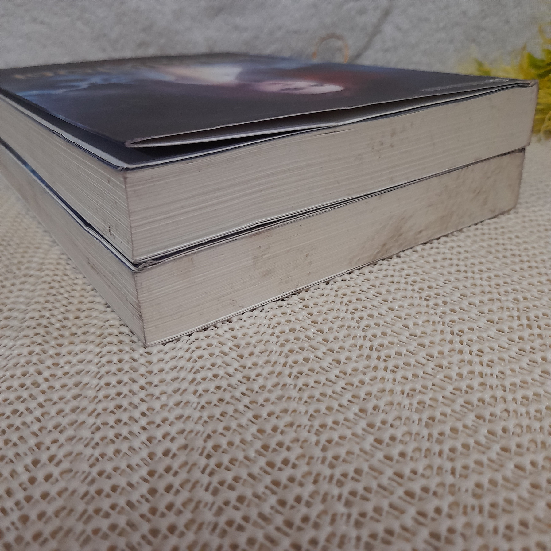 โสมสีเลือด / หมอกมุงเมือง