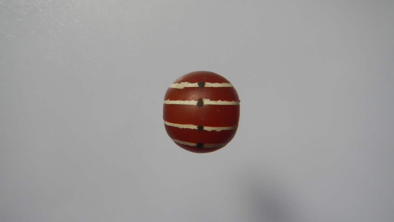 คาเนเลียนเขียนสีเม็ดที่1