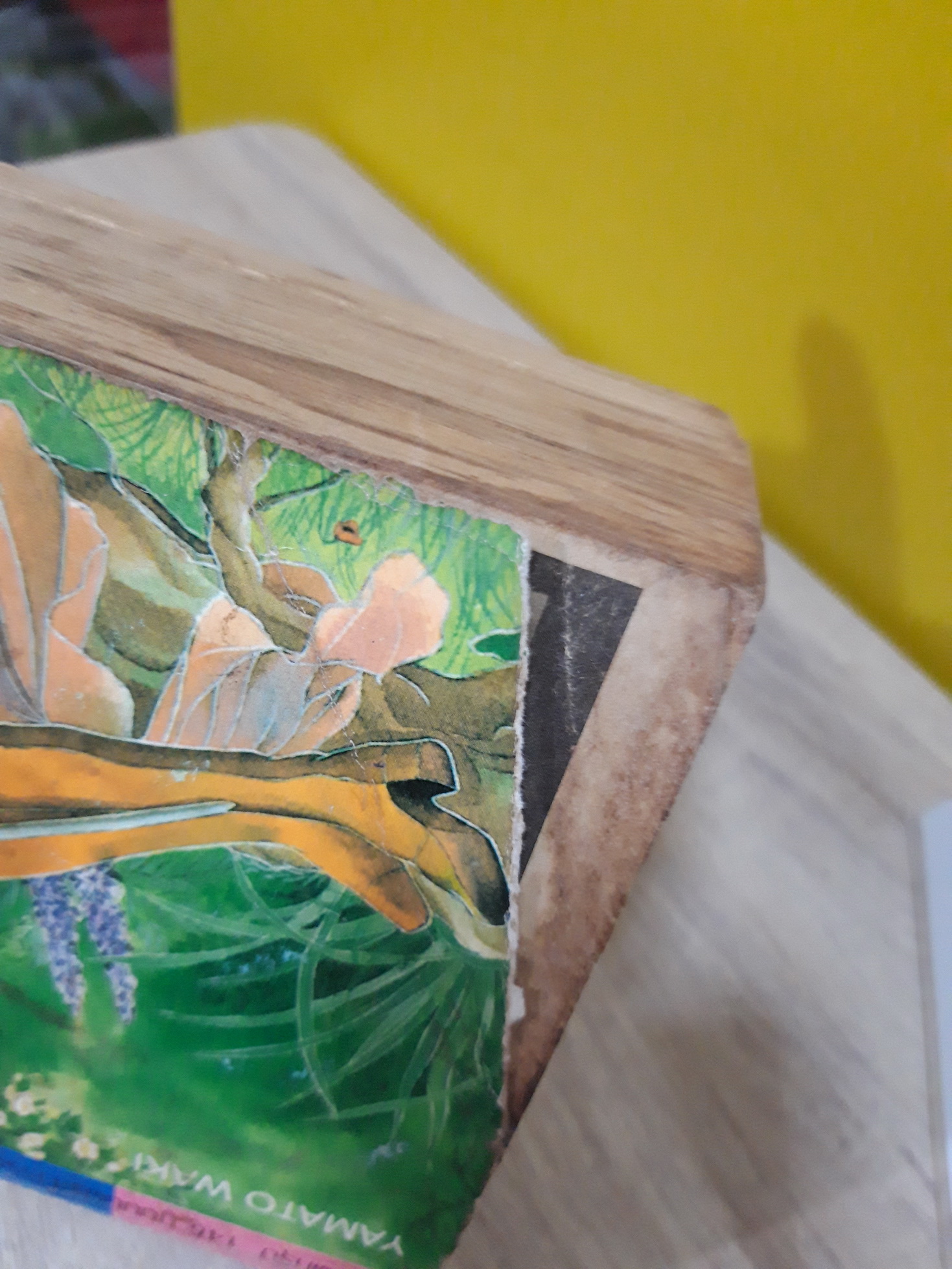 เทพบุตรซาตาน / Yamato Waki