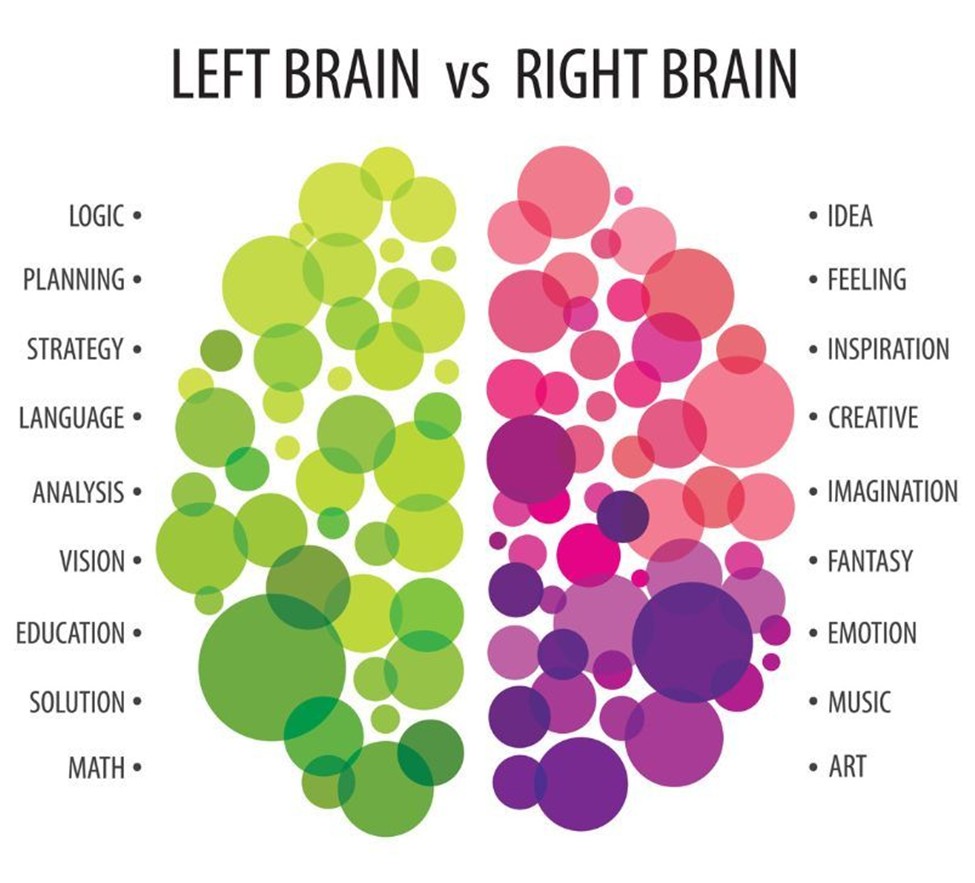 Brain 3